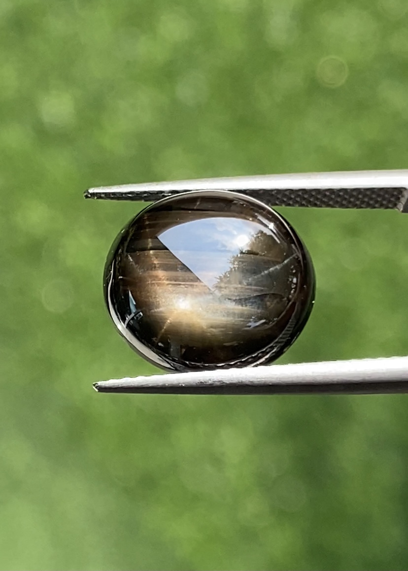 พลอย แบล็ค-กรีน สตาร์ แซฟไฟร์ Black-Green Star Sapphire 10.03 กะรัต (Cts.) ดิบ Unheated พร้อมใบเซอร์ พลอยแท้ อัญมณีมงคลประจําวันเกิด เครื่องประดับพลอย