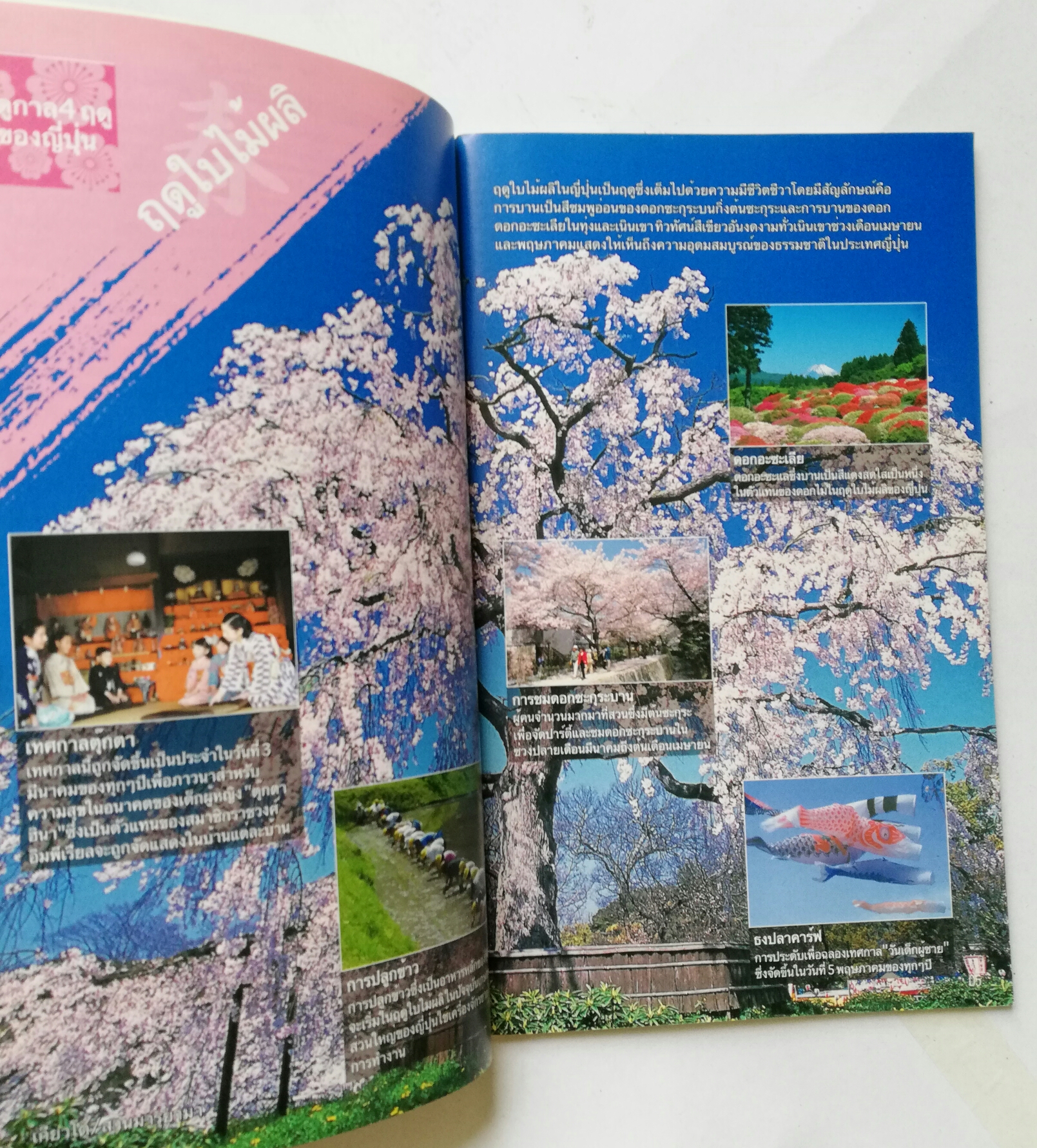 หนังสือแนะนำ การท่องเที่ยวในประเทศญี่ปุ่นYokoso Japan