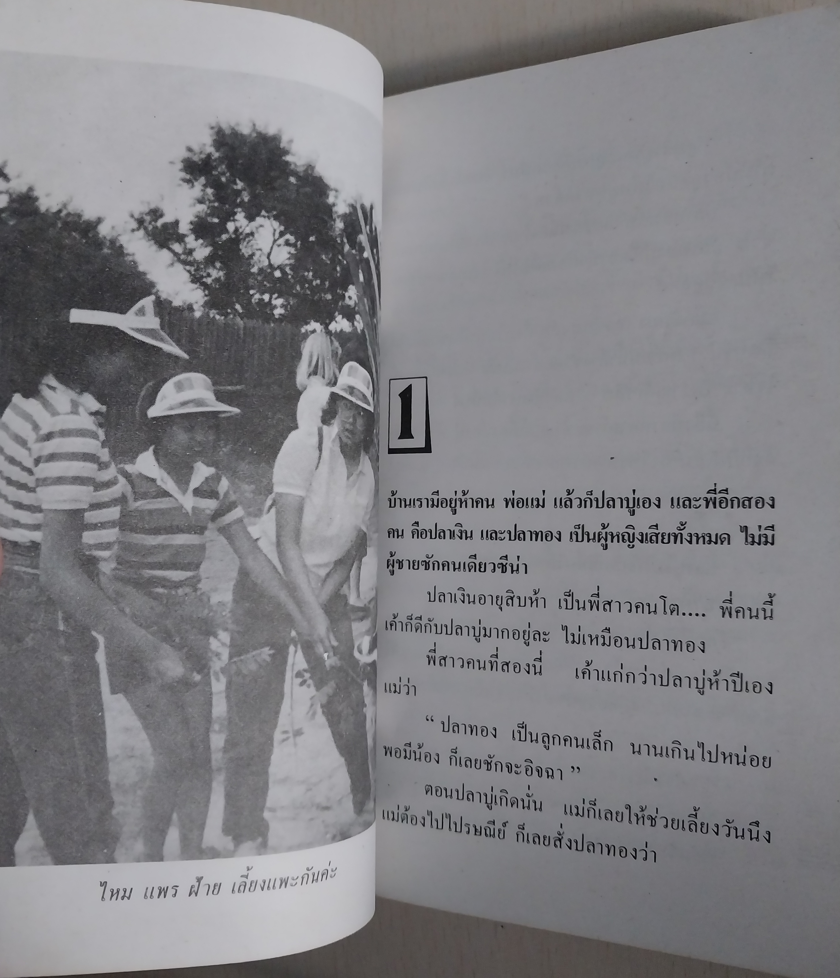 มีหลายภาพ หนังสือนิยาย เรื่อง บันทึกของปลาบู่ โดย โสภาค สุวรรณ**หน้าแรกมีรอยดินสอเขียนที่ด้านบน หนังสือมีรอยเก่า