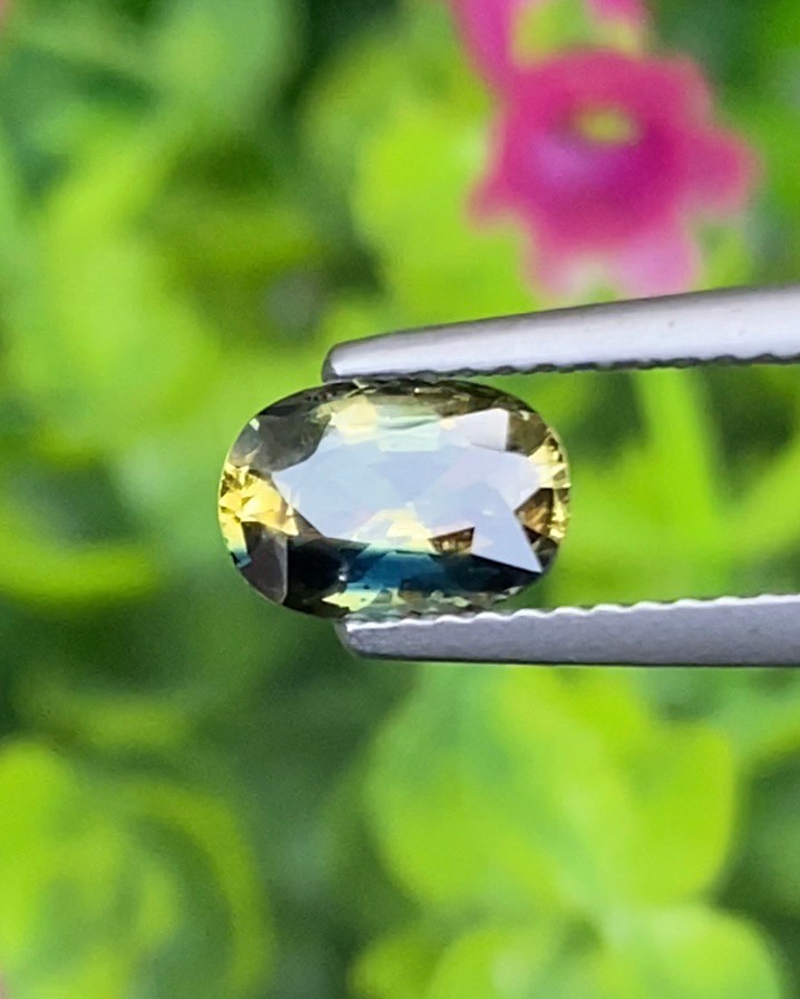 พลอย ลักษณะพิเศษ 2 สี Spacific Bi-Color Sapphire 1.41 กะรัต (Cts.) พร้อมใบเซอร์ พลอยแท้ อัญมณีมงคลประจําวันเกิด เครื่องประดับพลอย