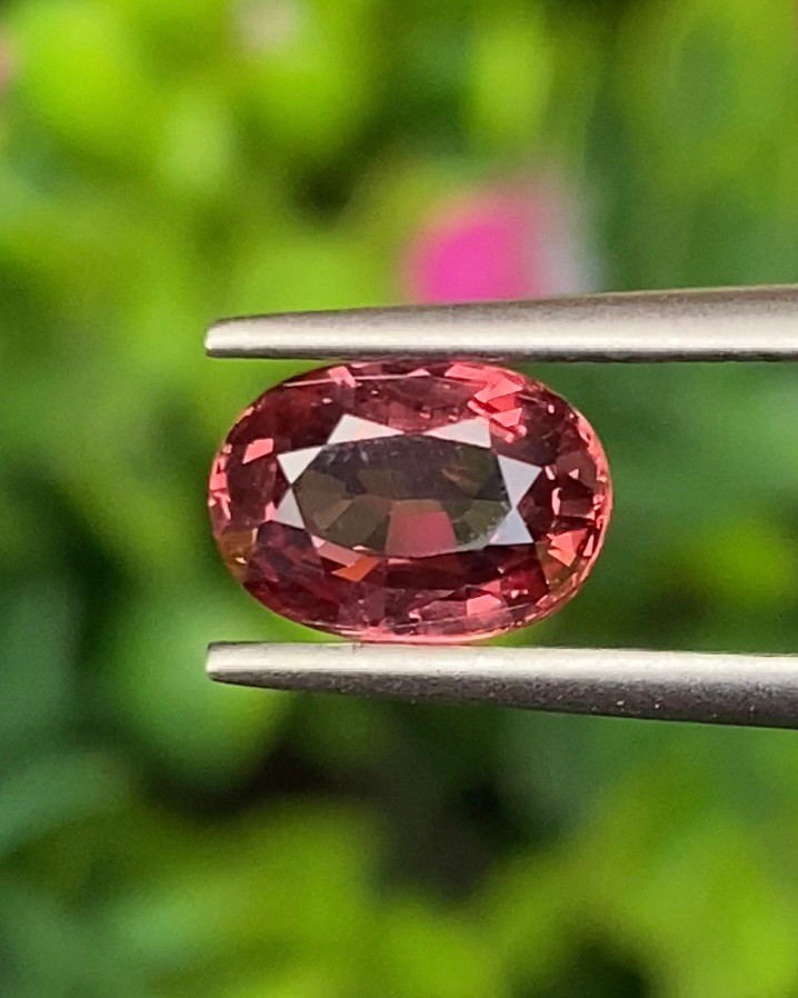 พลอย ซองเจีย ส้มอมชมพู (Pinkish Orange Sapphire) 1.68 กะรัต (Cts.) พร้อมใบเซอร์ พลอยแท้ อัญมณีมงคลประจําวันเกิด เครื่องประดับพลอย