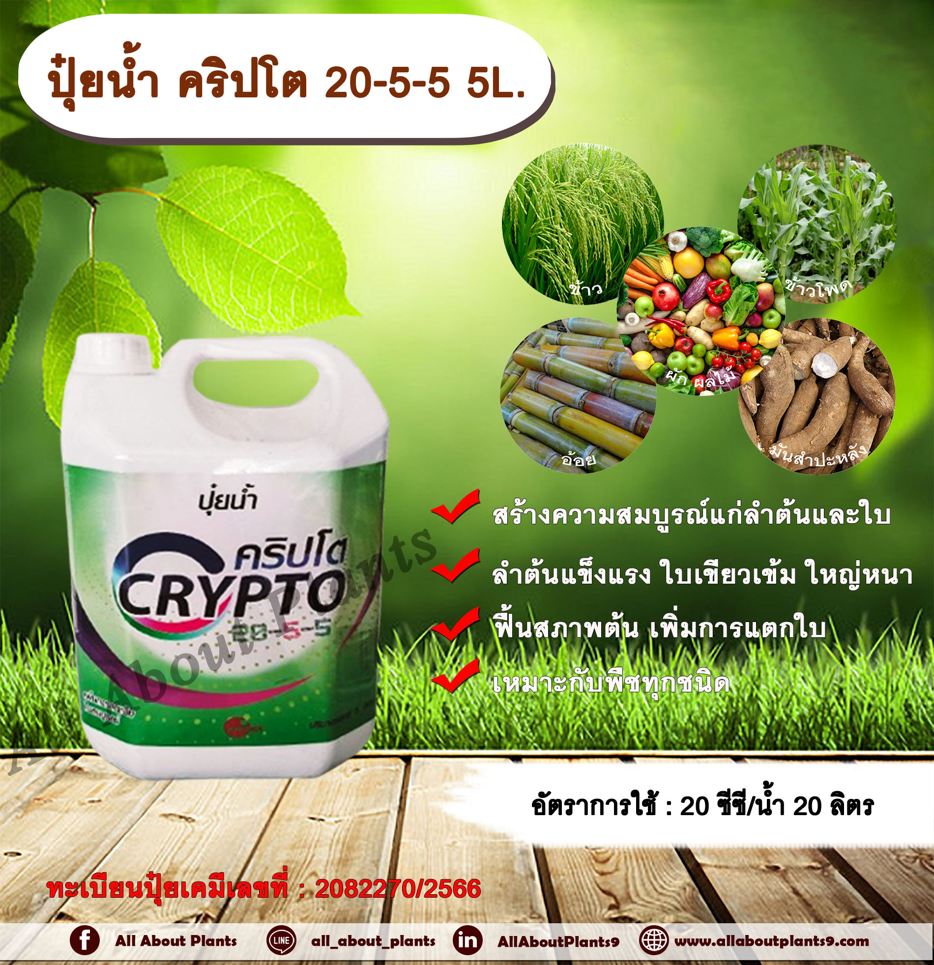 คริปโต 20-5-5 5L.ปุ๋ยน้ำ เร่งต้น เร่งใบ พืชเจริญเติบโต ต้นสมบูรณ์ ใบเขียวเข้ม ฟื้นสภาพต้น แตกใบ ใบเขียว ต้นโต กระติก