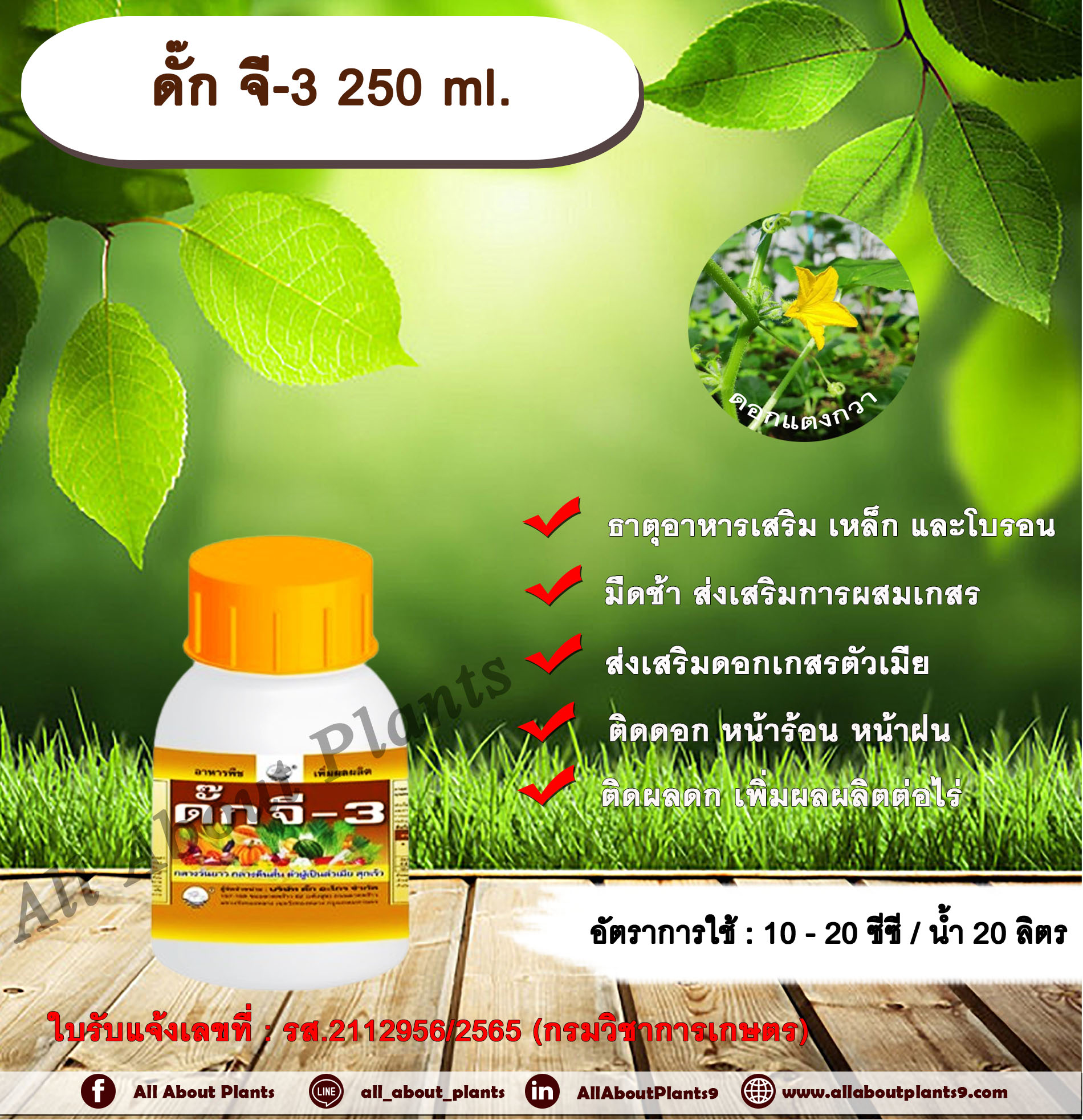 ดั๊ก จี-3 250 ml. ธาตุอาหารเสริม เหล็ก โบรอน เป็นธาตุอาหารเสริม และสารเสริมประสิทธิภาพ ช่วยผสมเทียม สามารถทำให้พืชมีดอกสมบูรณ์เพศ และช่วยให้เกิดดอกเพศเมียมากขึ้นในพืชตระกูลแตง เกสรติดดี ทำให้ติดผลดกมากขึ้นเพิ่มผลผลิตต่อไร่ ขวด