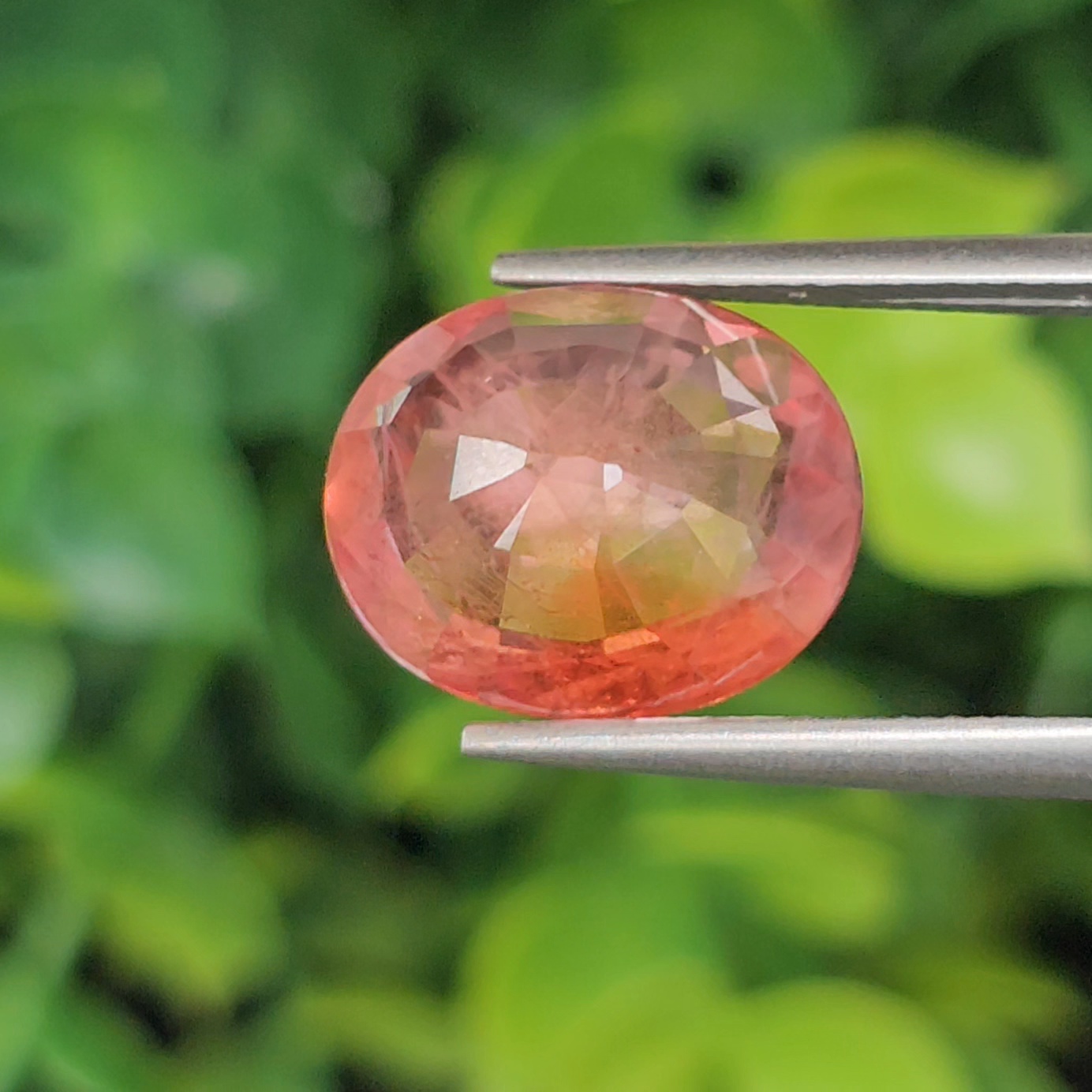 พลอย ออเรนจ์ แซฟไฟร์ Orange Sapphire 6.29 กะรัต (Cts.) พลอยแท้ อัญมณีมงคลประจําวันเกิด เครื่องประดับพลอย