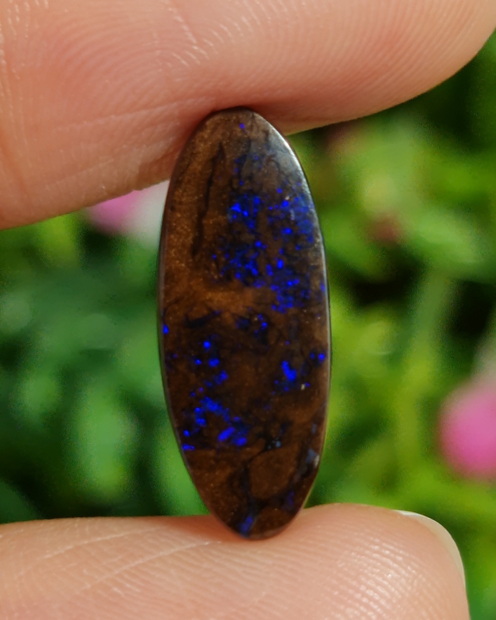 พลอย โบลเดอร์ โอปอล ออสเตรเลีย Australian Boulder Opal 6.60 กะรัต (Cts.) พลอยแท้ อัญมณีมงคลประจําวันเกิด เครื่องประดับพลอย
