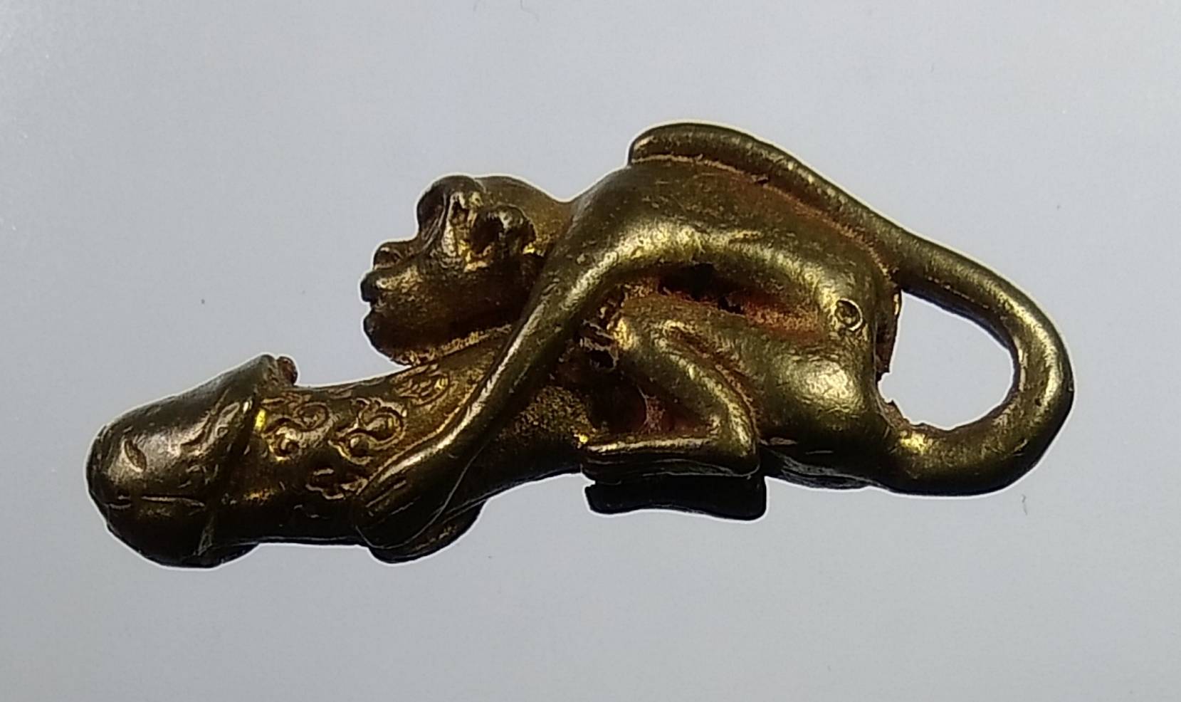 ร029 ปลัดขิกลิงเกาะ