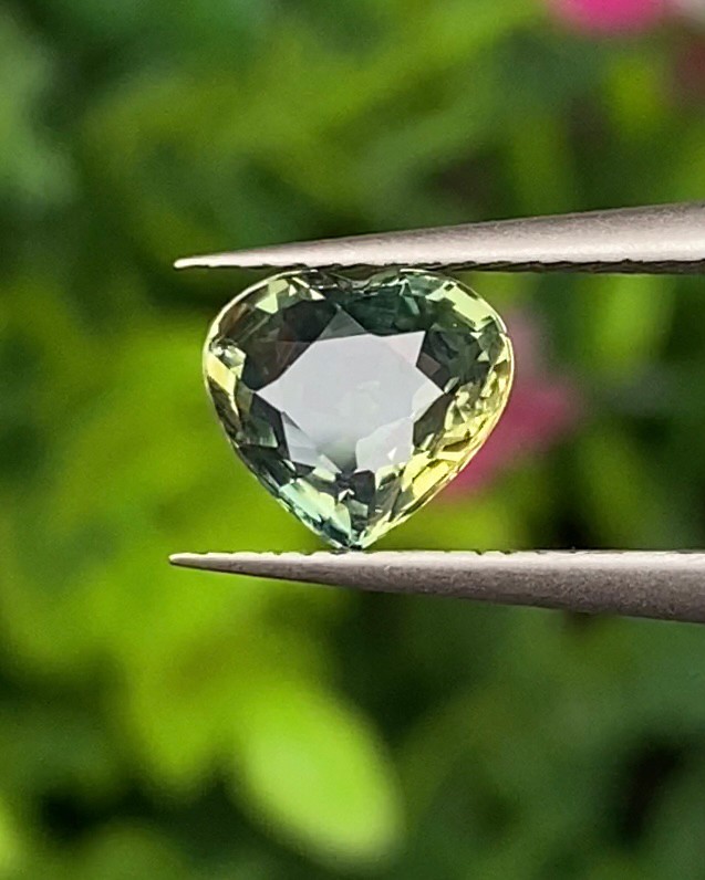 พลอย แซฟไฟร์ 2 สี Bi-Color Sapphire 1.23 กะรัต (Cts.) พลอยแท้ อัญมณีมงคลประจําวันเกิด เครื่องประดับพลอย