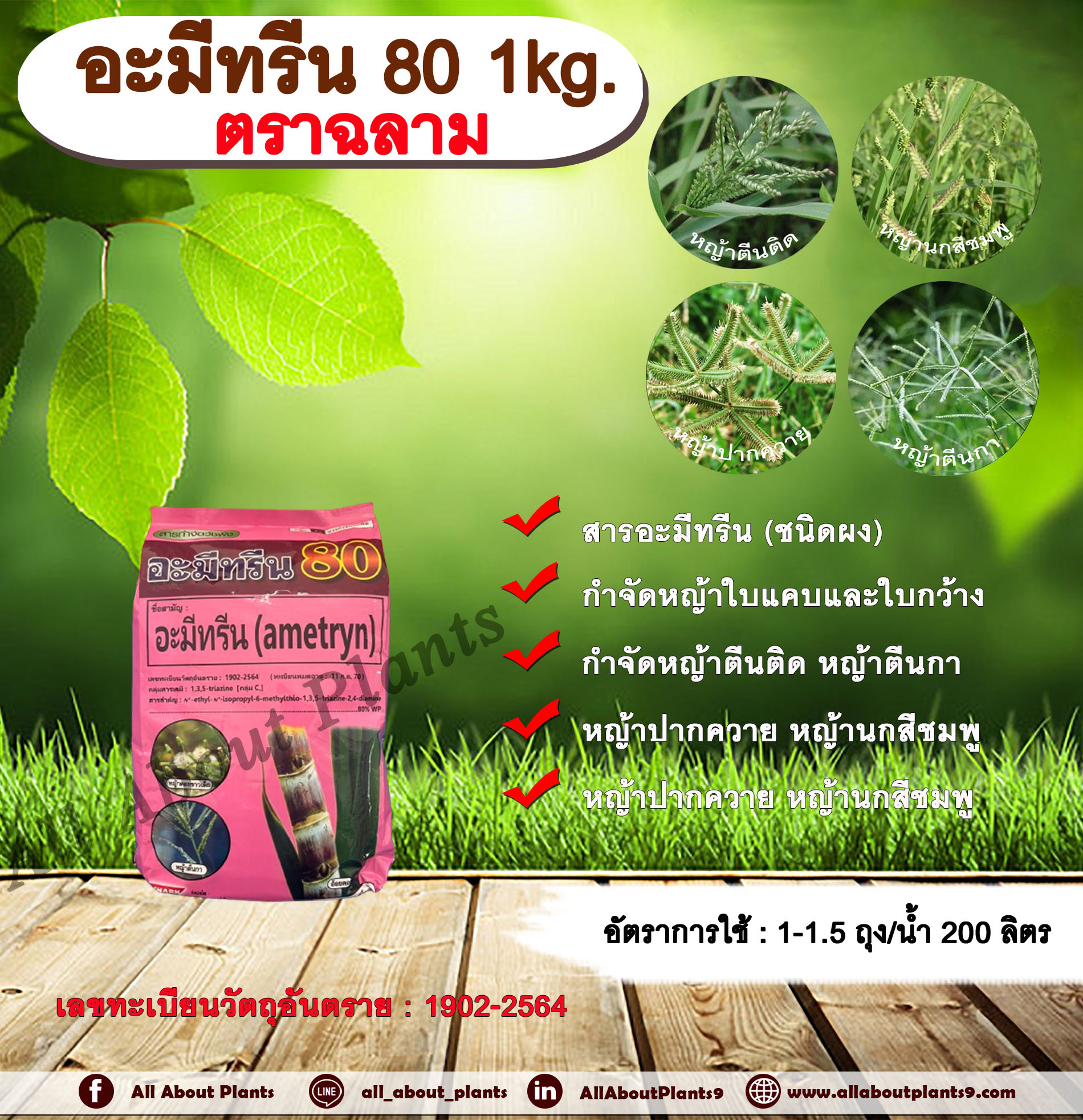 อะมีทรีน 80 ตราฉลาม 1kg. อะมีทรีน อามีทรีน สารกำจัดวัชพืช กำจัดหญ้า ใบแคบและใบกว้าง ในอ้อย แบบดูดซึม ชนิดผง กำจัดหญ้า หญ้าตีนติด หญ้าตีนกา หญ้าปากควาย หญ้านกสีชมพู หญ้าตีนนก หญ้าดอกขาว ถุง