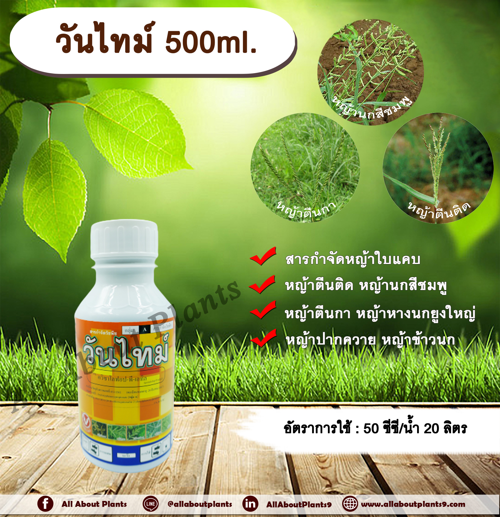 วันไทม์ 500ml. ควินซาโลฟอบ-พี-เอทิล กำจัดหญ้าใบแคบ วัชพืชใบแคบ ในพืชประธานใบกว้าง หญ้าใบแคบ หญ้าตีนติด หญ้าตีนกา หญ้านกสีชมพู allaboutplants ชิ้น