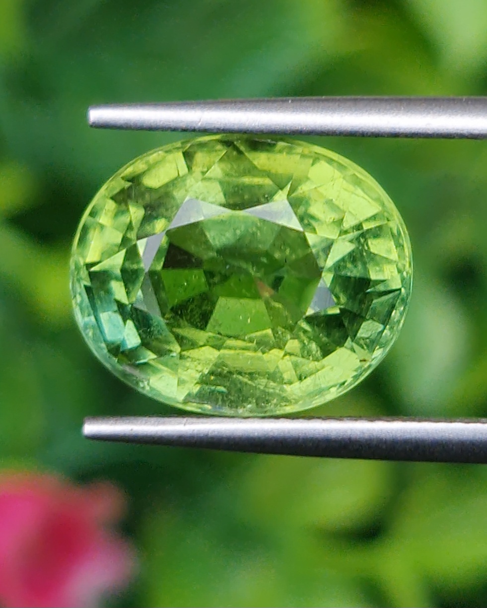 พลอย กรีน ทัวร์มารีน (Green Tourmaline) 6.80 กะรัต (Cts.) อัญมณีมงคลประจําวันเกิด เครื่องประดับพลอย