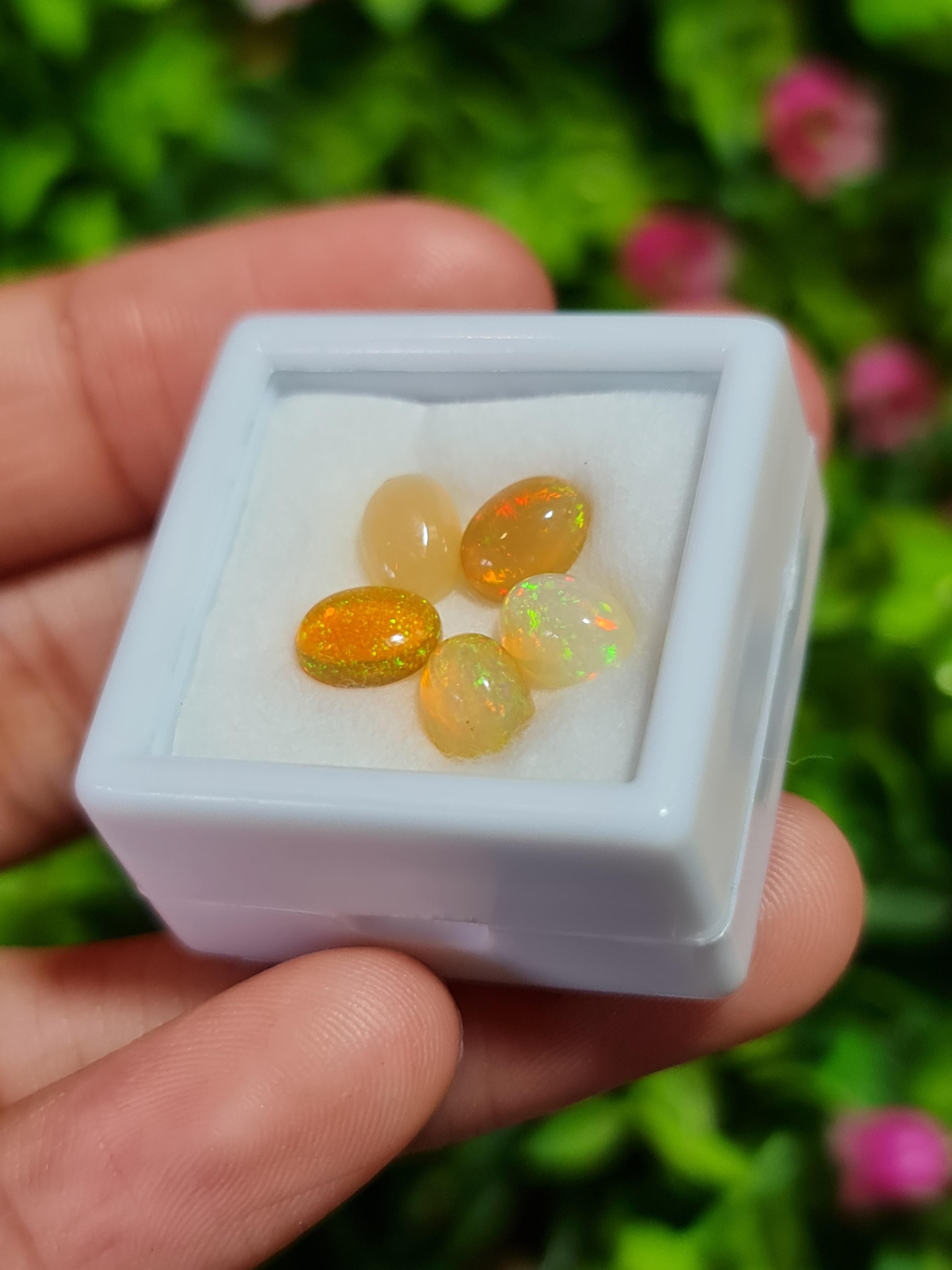 พลอย โอปอล Opal 3.10 กะรัต (Cts.) 5 เม็ด (Pcs.) พลอยแท้ อัญมณีมงคลประจําวันเกิด เครื่องประดับพลอย