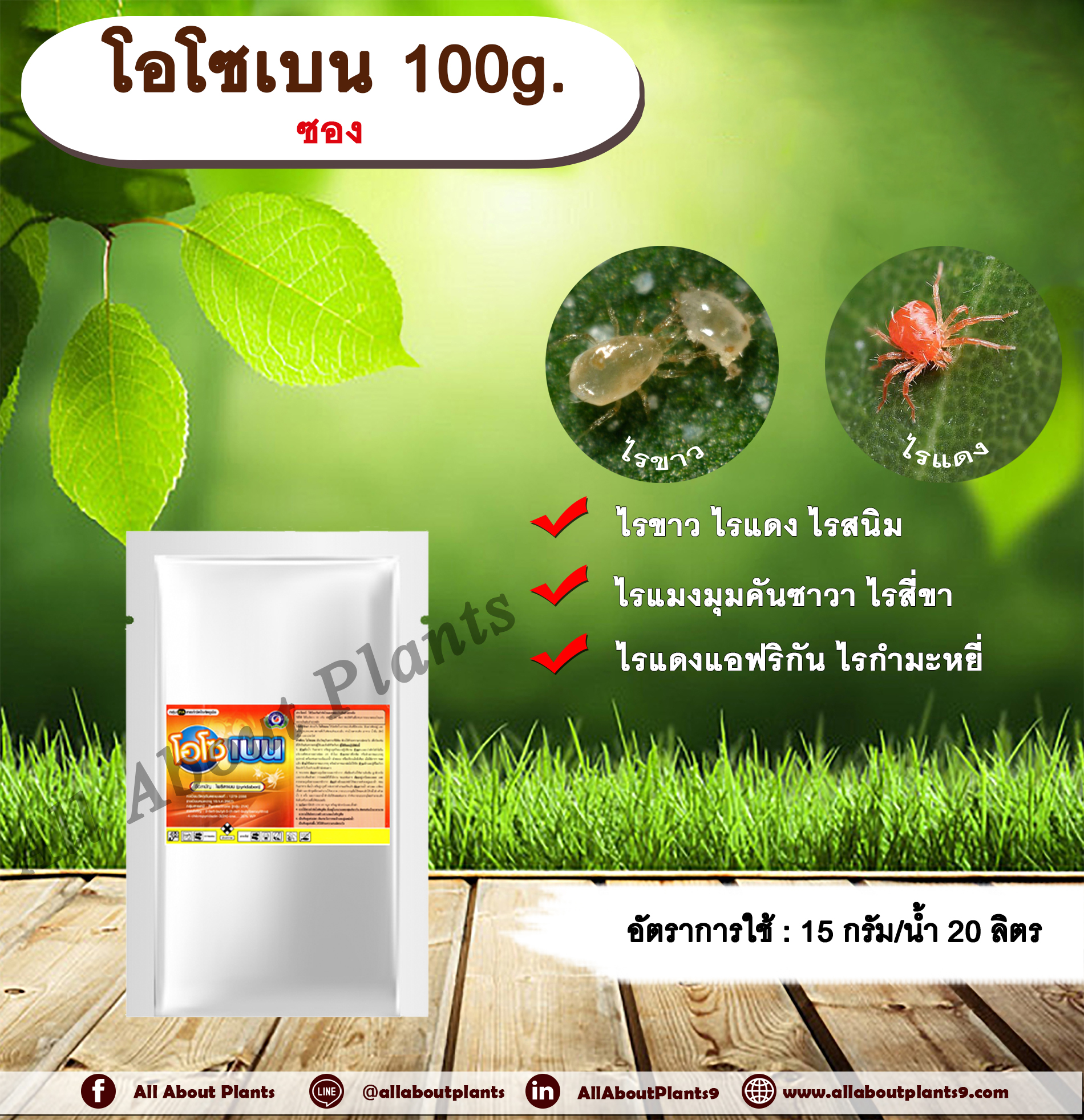 โอโซเบน 100g. ไพริดาเบน สารกำจัดแมลง สารกำจัดไร ไรขาว ไรแดง ไรแมงมุมคันซาวา ไรแดงแอฟริกัน ไรสนิมส้ม ไรสี่ขา ไรกำมะหยี่ allaboutplants ชิ้น
