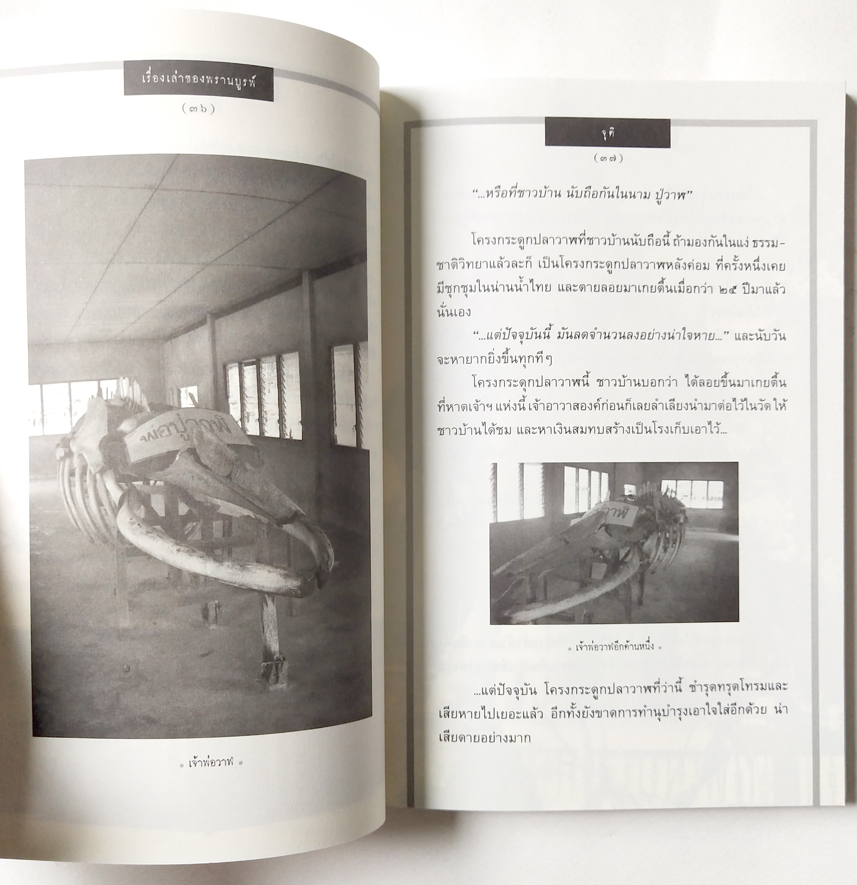 หนังสือเก่า เรื่องสั้น "เรื่องเล่าของ พรานบูรพ์" โดย จุติ อ่านเรื่องเล่าจากศิลปิน ผู้มีหลายมุมมอง ที่ถ่ายทอดผ่านตัวหนังสือ