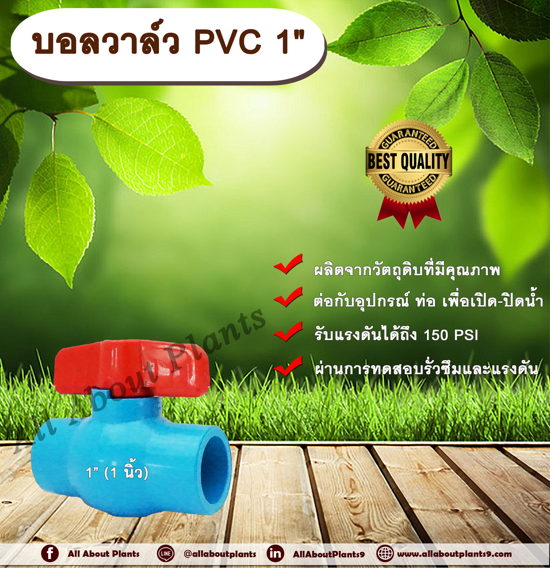 บอลวาล์ว PVC 1” (1 นิ้ว) บอลวาล์ว ประตูเปิดปิดน้ำ บอลวาล์วพีวีซี แบบสวม Ball Valve ร้านallaboutplants ชิ้น