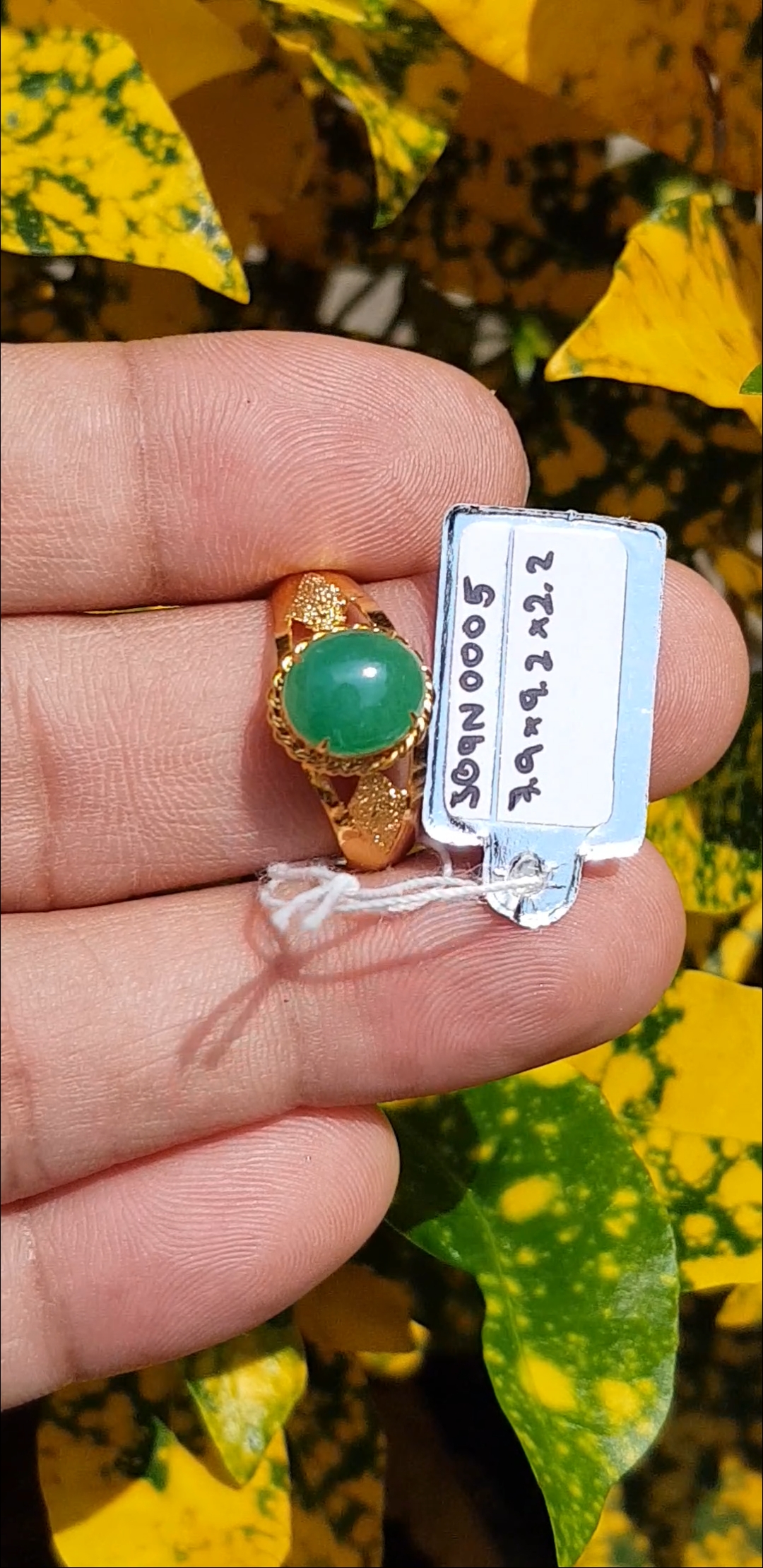 หยก พม่า แท้ Jade แหวนหยก 翡翠戒指 (Jadeite ring) ดิบ 1.30 กะรัต (Cts.) ไม่ผ่านการปรับปรุง (Type A) พม่า (Myanmar)