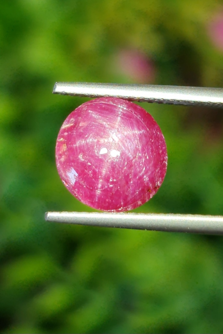 พลอย ทับทิม สตาร์ แซฟไฟร์ Ruby Star Sapphire 5.72 กะรัต (Cts.) ดิบ Unheated พร้อมใบเซอร์ พลอยแท้ อัญมณีมงคลประจําวันเกิด เครื่องประดับพลอย