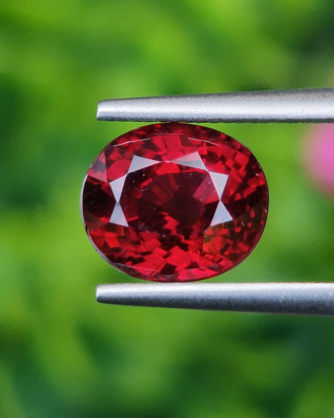 พลอย โรโดไลต์ กาเน็ท Rhodolite Garnet 2.68 กะรัต Cts.พลอยแท้ อัญมณีมงคลประจําวันเกิด เครื่องประดับพลอย