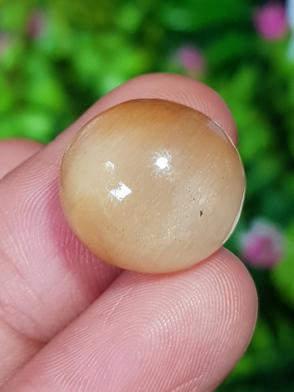 ไหม ควอตซ์ Rutilated Quartz 16.28 กะรัต Cts.พลอยแท้ อัญมณีมงคลประจําวันเกิด เครื่องประดับพลอย