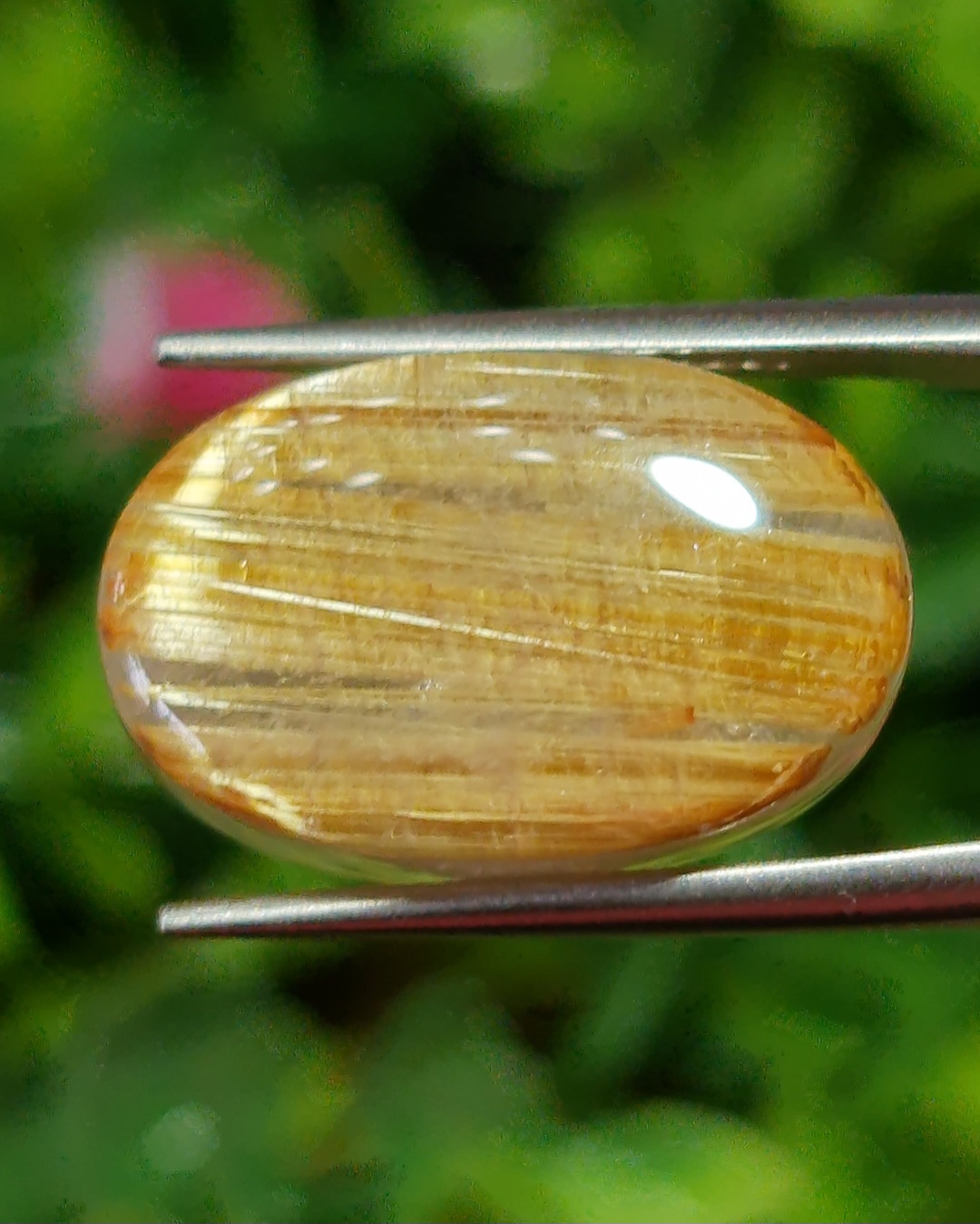 ตาแมว ไหมทอง ควอตซ์ Cat eye Golden Rutilated Quartz 17.0 กะรัต Cts.พลอยแท้ อัญมณีมงคลประจําวันเกิด เครื่องประดับพลอย