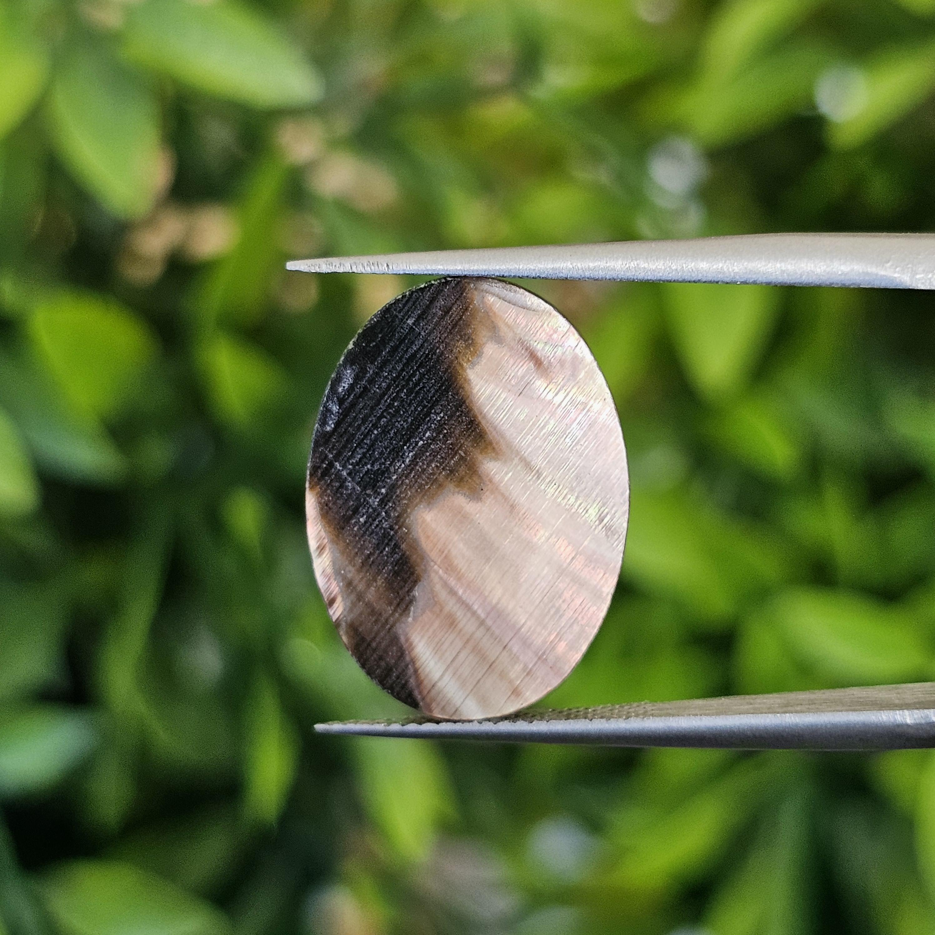 เปลือกหอยมุก แกะสลัก Pearl Shell Carved 3.52 กะรัต (Cts.)