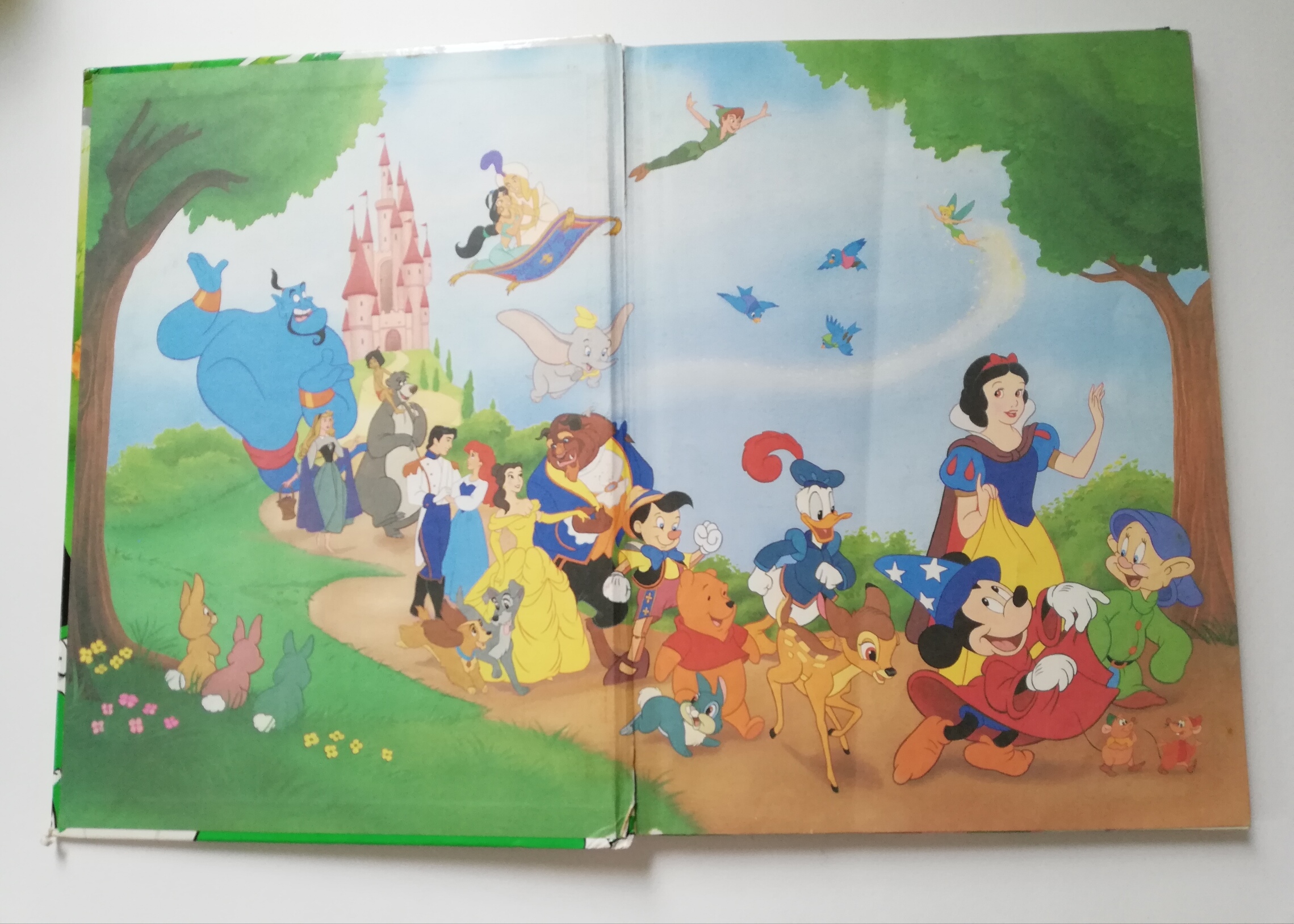 หนังสือภาพดิสนีย์ เล่มใหญ่ปกแข็ง "ประวัติศาสตร์โลก โหด มัน ฮา"*หนังสือมีตำหนิ โปรดตรวจสอบทุกภาพ