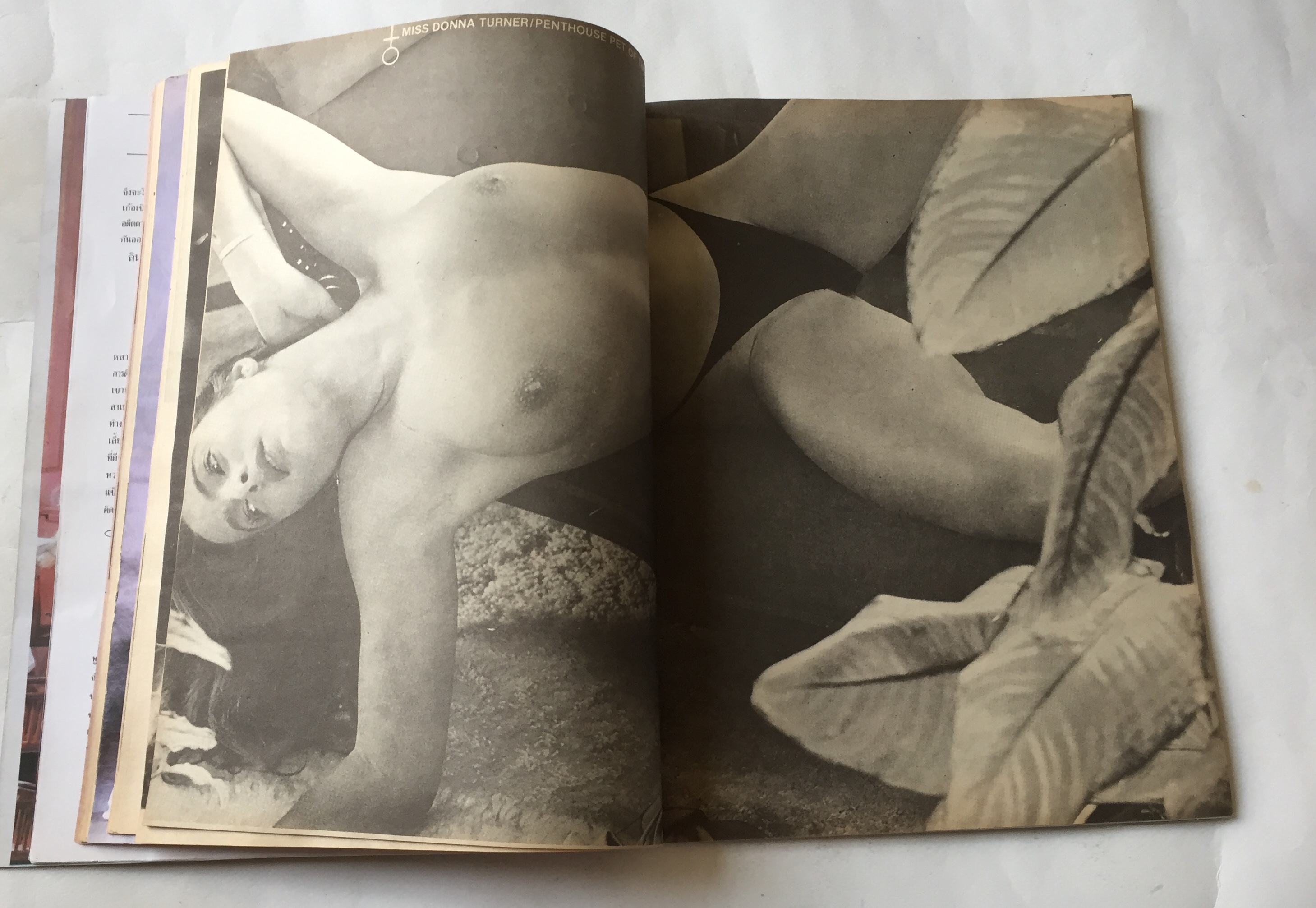 มีกหลายภาพ,นิตยสารเพลย์บอยเก่าปกมีตำหนิตามภาพ Playboy ฉบับภาษาไทย ราคาปก 35 บาท Magazine รายเดือนปีที่ 1 ฉบับที่2