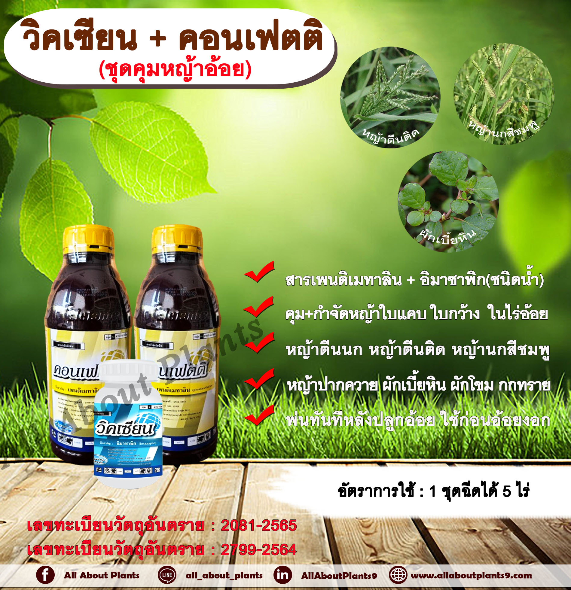 วิคเซียน + คอนเฟตติ สารคุมหญ้า สารกำจัดหญ้า ในไร่อ้อย หญ้าใบแคบ ใบกว้างและกก คุมแห้ง คุมดินชื้น อ้อยตอ อ้อยปลูกใหม่ สารคุมวัชพืช สารกำจัดวัชพืช พ่นทันทีหลังปลูกอ้อย ใช้ก่อนอ้อยงอก ชุด
