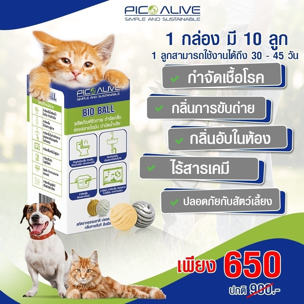 พิโกไบโอบอล Bio Ball 1 กล่อง 10 ลูก ไบโอบอล เทคโนโลยีชีวภาพ กำจัดกลิ่นเหม็น อเนกประสงค์ ( PICO BIO BALL)