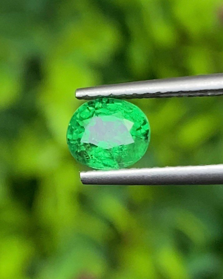 พลอย ซาโวไรท์ Tsavorite Garnet 1.25 กะรัต (Cts.) ดิบ Unheated พลอยแท้ อัญมณีมงคลประจําวันเกิด เครื่องประดับพลอย