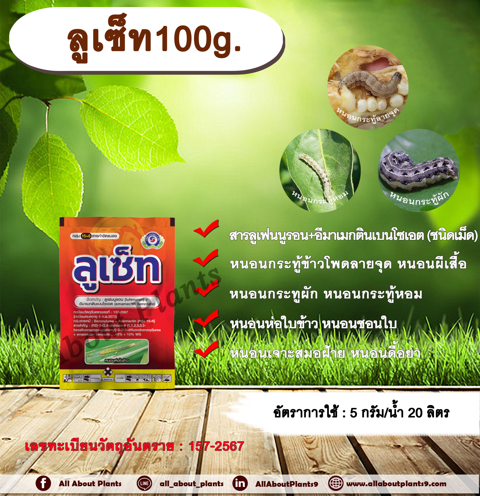 ลูเซ็ท100g. ลูเฟนนูรอน อีมาเมกตินเบนโซเอต ชนิดเม็ด สารกำจัดแมลง สารกำจัดหนอน หนอนกระทู้ลายข้าวโพดจุด หนอนผีเสื้อ กำจัดหนอนกระทูผัก หนอนกระทู้หอม ซอง