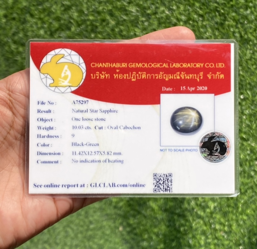 พลอย แบล็ค-กรีน สตาร์ แซฟไฟร์ Black-Green Star Sapphire 10.03 กะรัต (Cts.) ดิบ Unheated พร้อมใบเซอร์ พลอยแท้ อัญมณีมงคลประจําวันเกิด เครื่องประดับพลอย