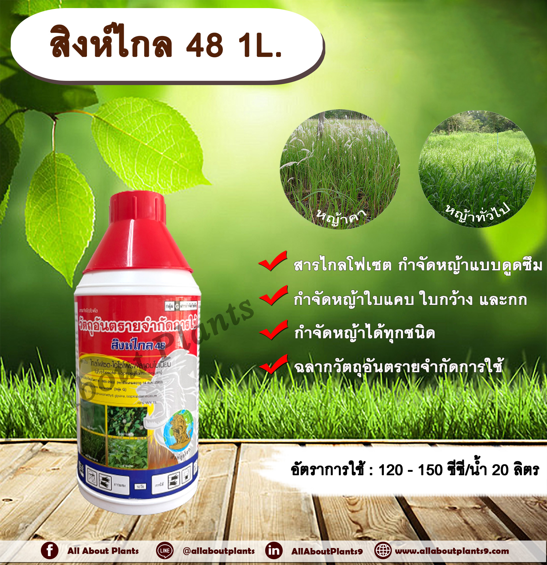 สิงห์ไกล 48 1L. ไกลโฟเซต สารกำจัดวัชพืช แบบดูดซึม กำจัดหญ้าทั่วไป หญ้าคา วัชพืชข้ามปี และกก ดูดซึมไม่เลือกทำลาย ชิ้น