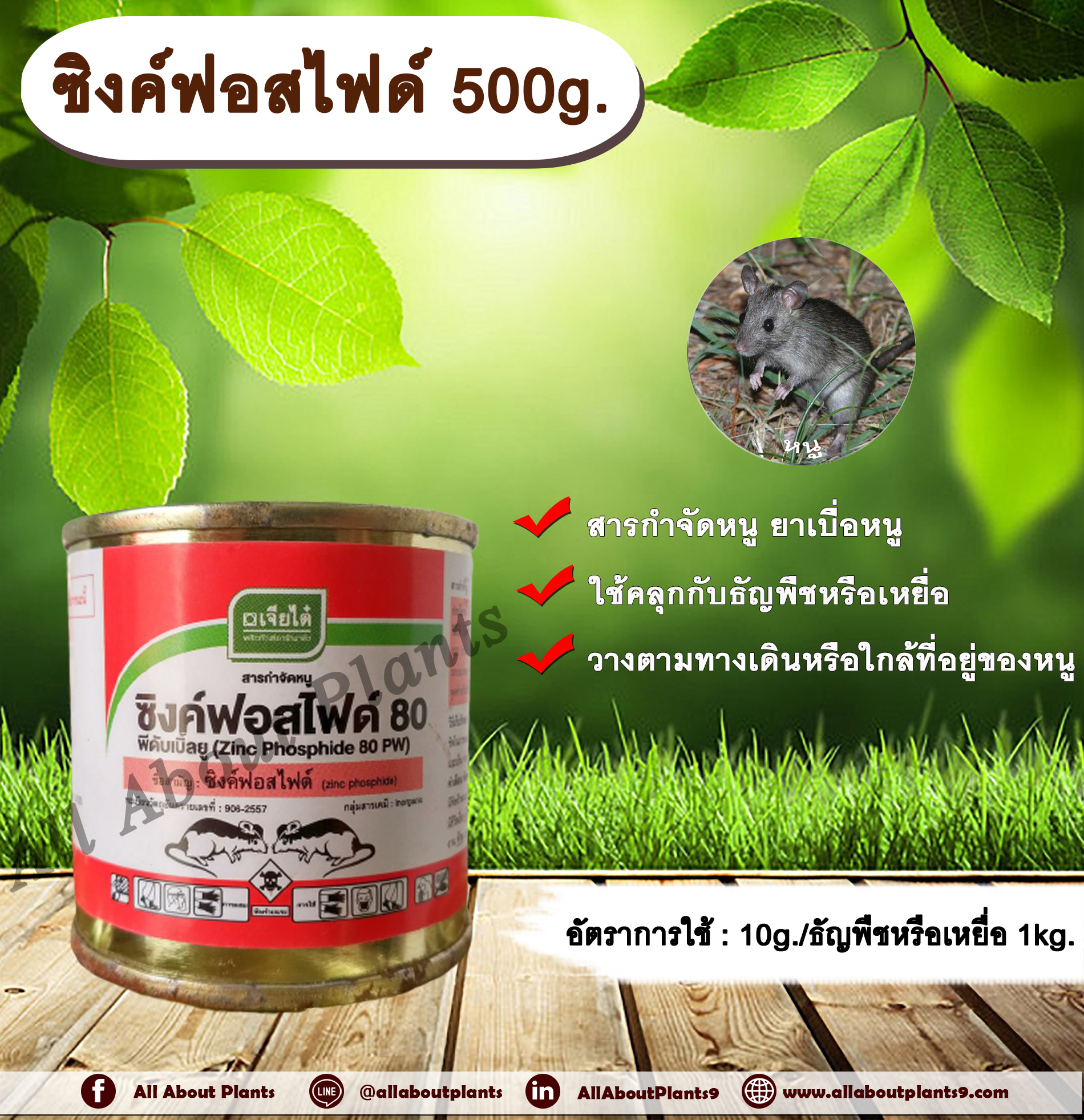 ซิงค์ฟอสไฟด์ 500g. สารกำจัดหนู เบื่อหนู เบือหนู เหยื่อกำจัดหนูallaboutplants ชิ้น