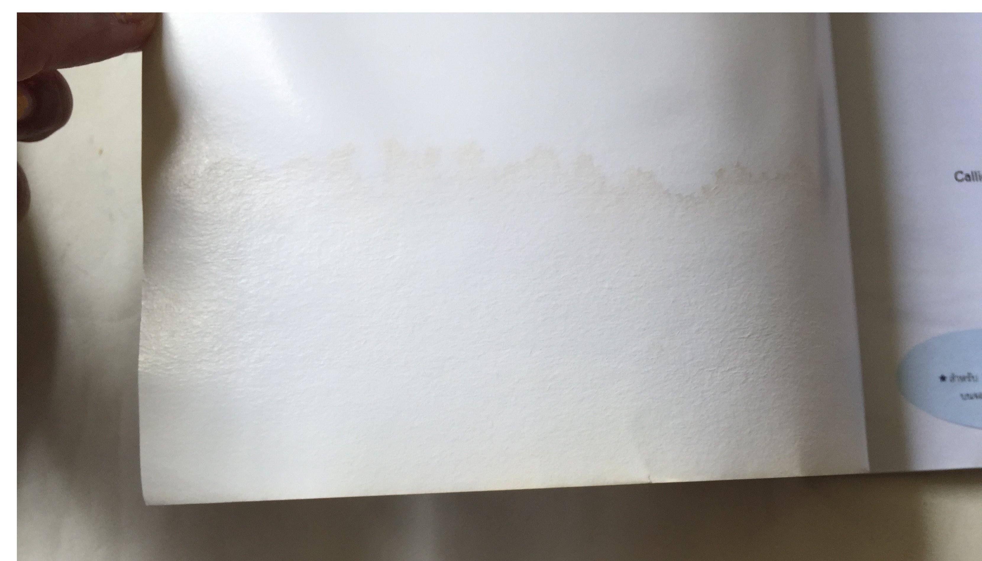 หนังสือนิทานเจ้าหญิงดิสนีย์ ****ไม่เช็คแผ่นCD ;ครี่งเล่มล่าง ตั้งแต่หน้า 47 มีคราบจากความชื้น ,เจ้าหญิงเอลซ่ากับอันนา จาก โฟรเซ่น ตอน ผจญคำสาปแดนหิมะ