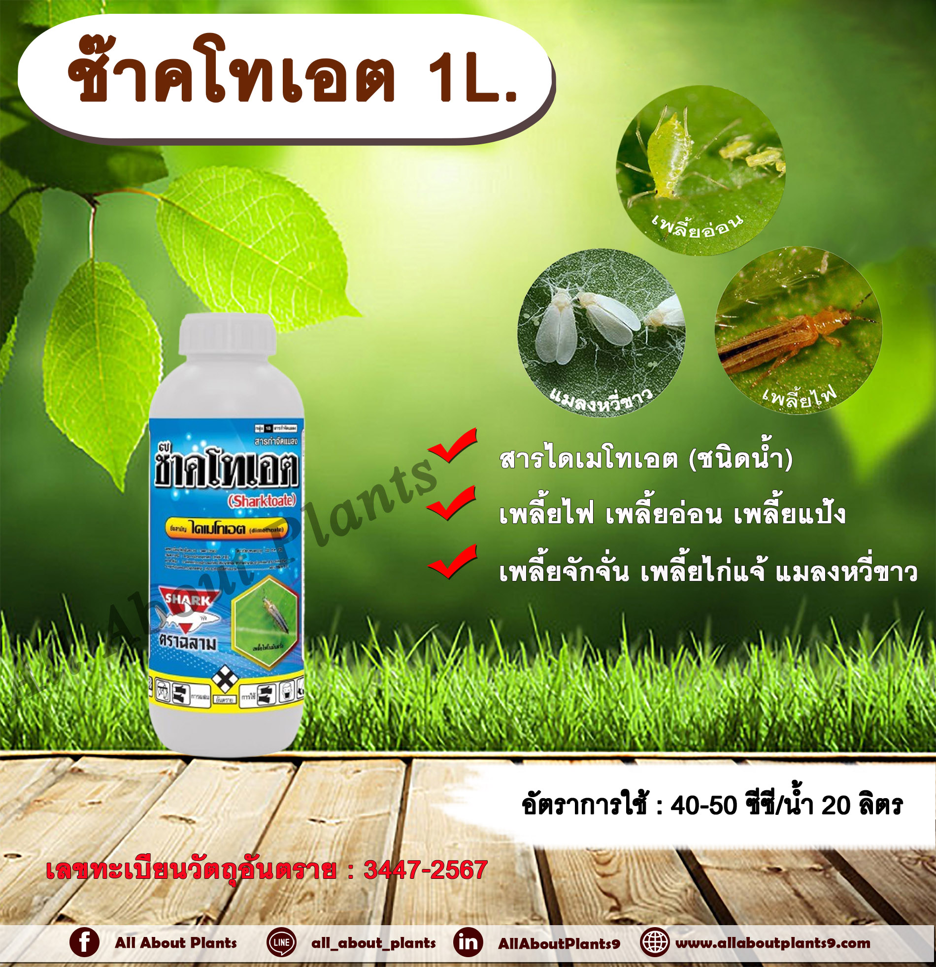ช๊าคโทเอต 1L. ไดเมโทเอต สารกำจัดแมลง สารไดเมโทเอต เพลี้ยไฟ เพลี้ยอ่อน เพลี้ยแป้ง เพลี้ยจักจั่น แมลงหวี่ขาว ขวด