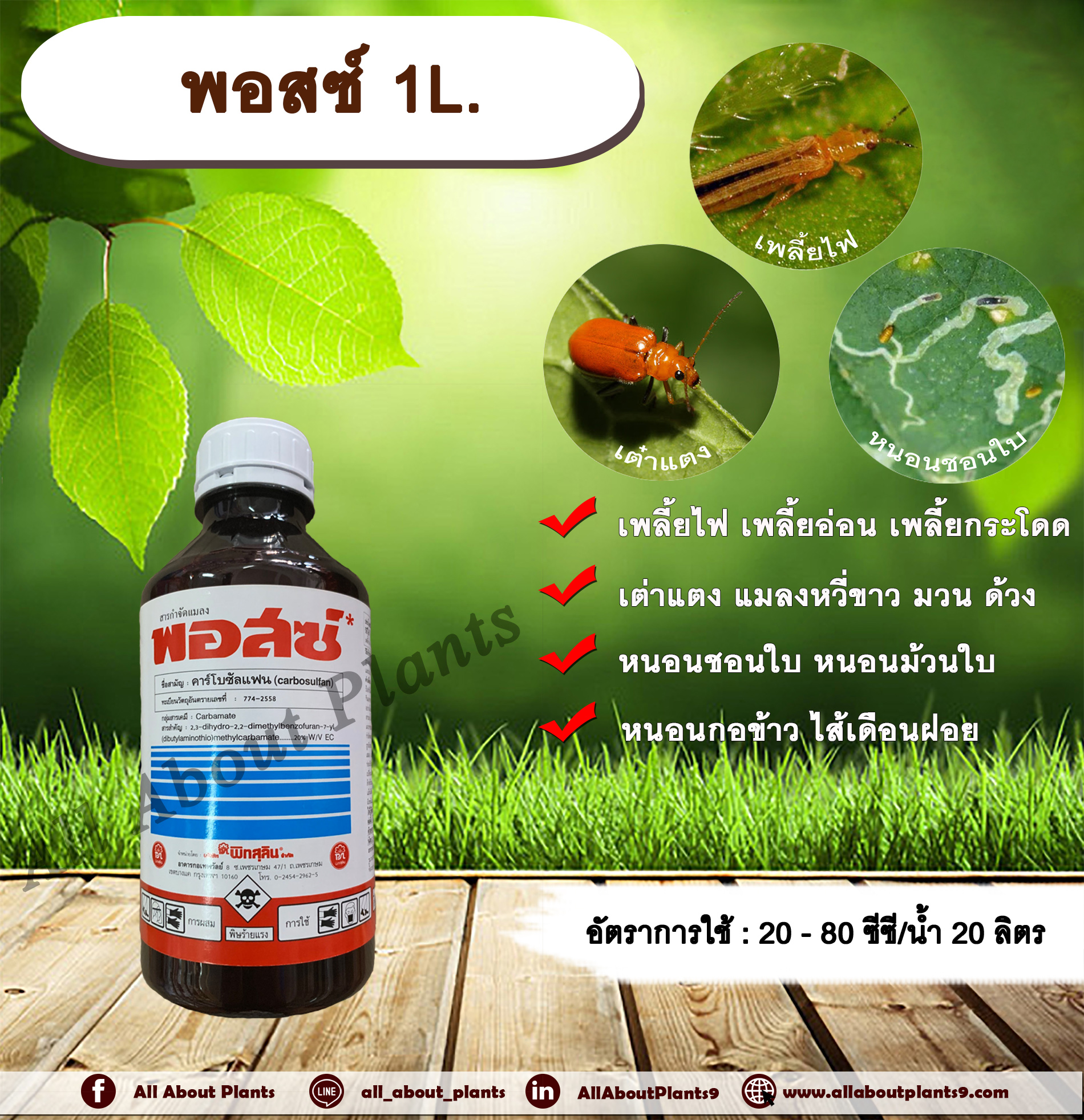 พอสซ์ 1L. สารกำจัดแมลง คาร์โบซัลแฟน กำจัดเพลี้ยไฟ เพลี้ยอ่อน เพลี้ยกระโดด เต่าแตง แมลงหวี่ขาว กำจัดหนอน ดูดซึม allaboutplants ชิ้น