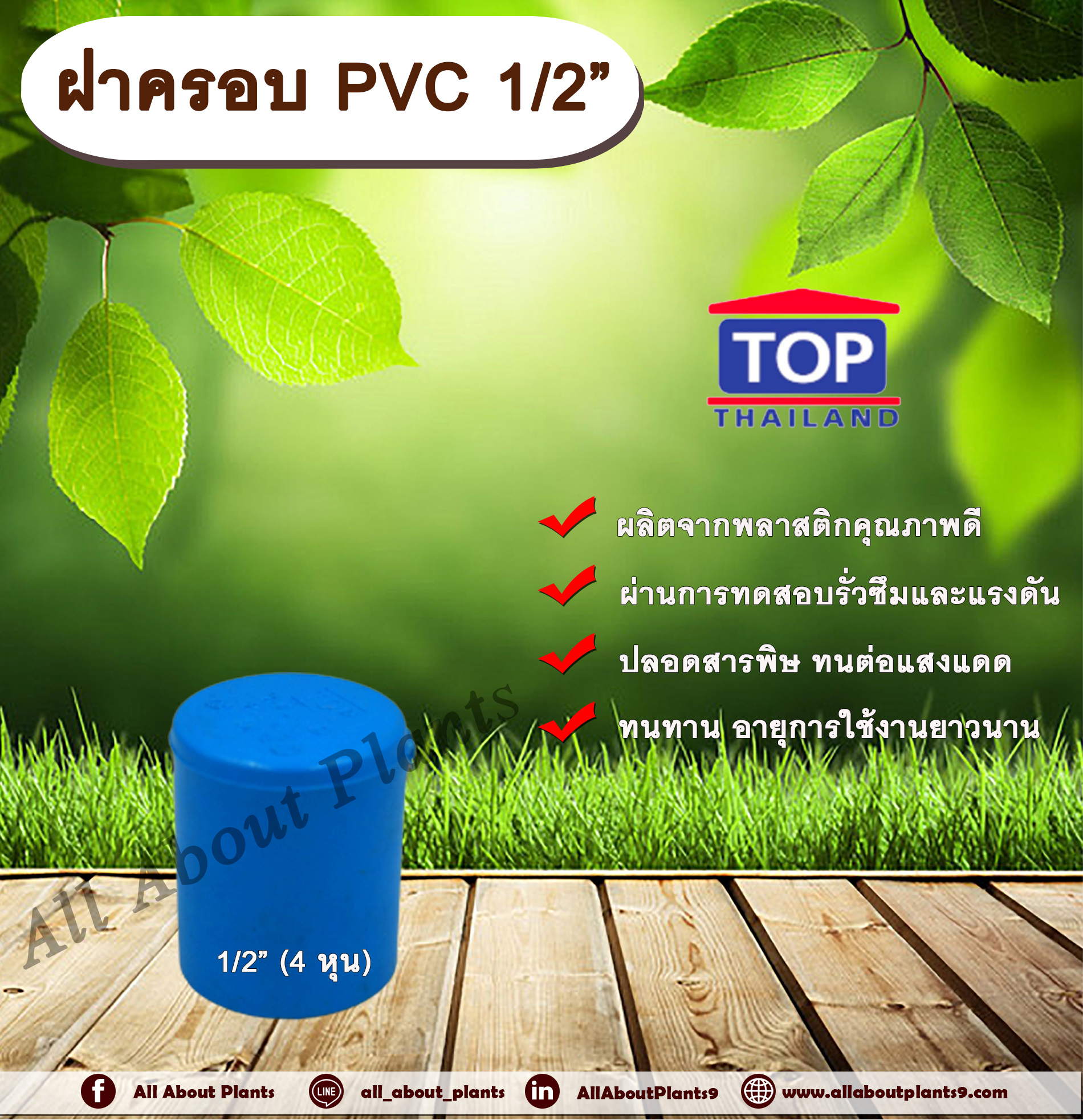 ฝาครอบPVC ตรา TOP 1/2”(4หุน) ฝาครอบท่อPVC ขนาด 1/2นิ้ว หรือ 4หุน ตัวอุดท่อ ฝาปิดท่อพีวีซี allaboutplnats ชิ้น