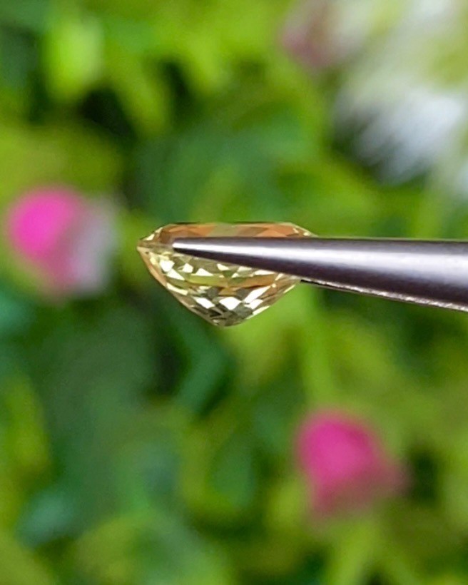 พลอย คริโซเบริล (Chrysoberyl) 1.39 กะรัต (Cts.) พลอยแท้ อัญมณีมงคลประจําวันเกิด เครื่องประดับพลอย