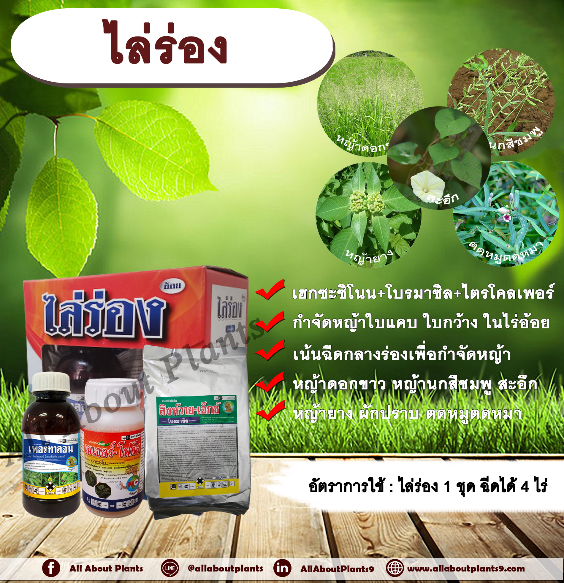 ไล่ร่อง (เฮกซะซิโนน + โบรมาซิล + ไตรโคลเพอร์) สารกำจัดวัชพืช สารกำจัดหญ้า ในไร่อ้อย กำจัดหญ้าใบแคบและใบกว้าง ชิ้น