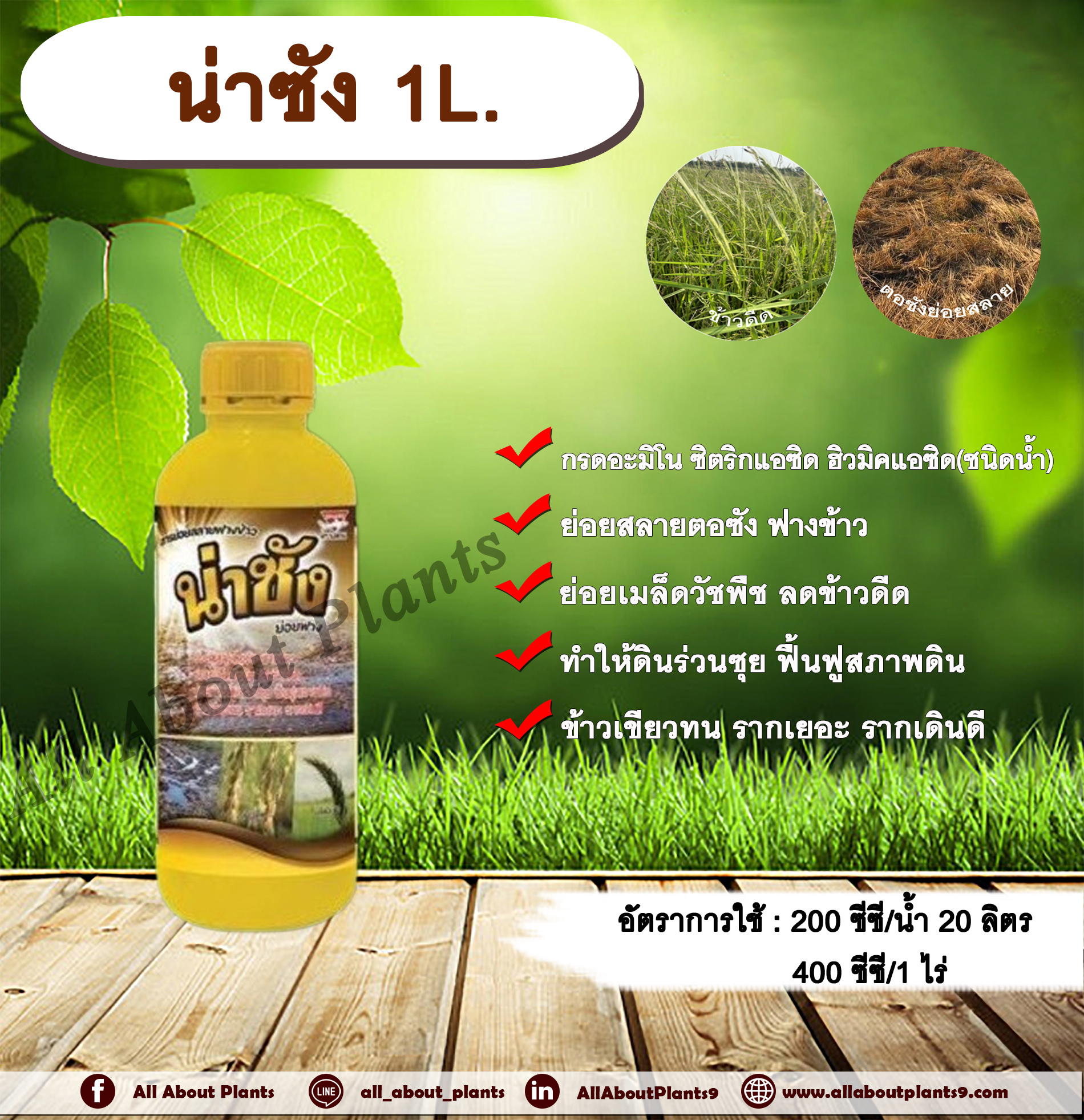 น่าชัง 1L. สารย่อยสลายฟางข้าว ย่อยสลายตอซัง ซังข้าว ย่อยเมล็ดวัชพืช ลดข้าวดีด ทำให้ดินร่วนซุย ฟื้นฟูสภาพดิน ข้าวเขียวทน รากเยอะ รากเดินดี ขวด