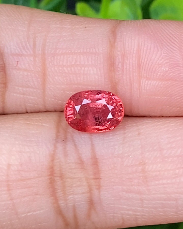 พลอย ซองเจีย ส้มอมชมพู (Pinkish Orange Sapphire) 2.31 กะรัต (Cts.) พลอยแท้ อัญมณีมงคลประจําวันเกิด เครื่องประดับพลอย