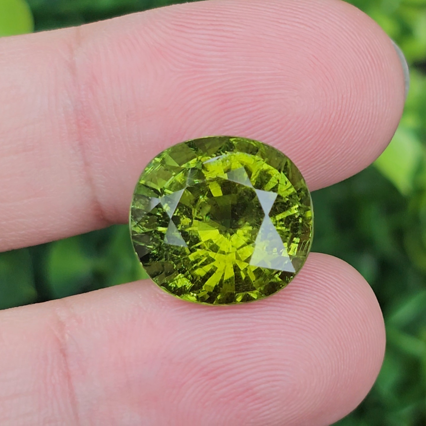 พลอย ทัวร์มาลีน Tourmaline 13.77 กะรัต (Cts.) พลอยแท้อัญมณีมงคล ประจําวันเกิด เครื่องประดับพลอย
