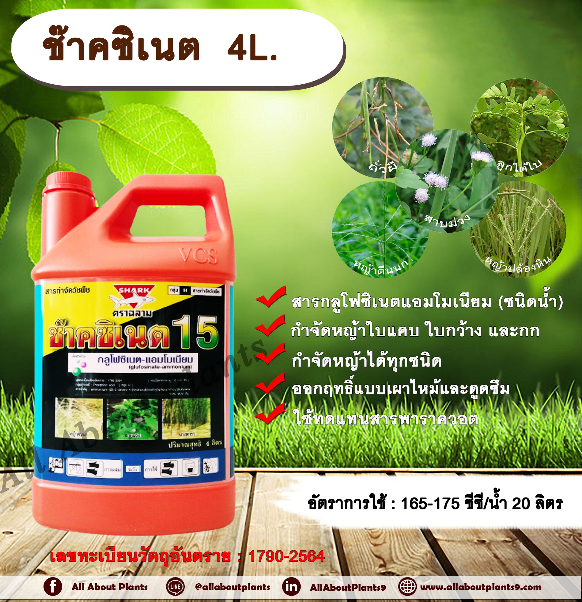 ช๊าคซิเนต 4L. กลูโฟซิเนตแอมโมเนียม สารกำจัดวัชพืช กำจัดหญ้าใบแคบ ใบกว้าง กก หญ้าทุกชนิด ออกฤทธิ์แบบเผาไหม้และดูดซึม ชิ้น