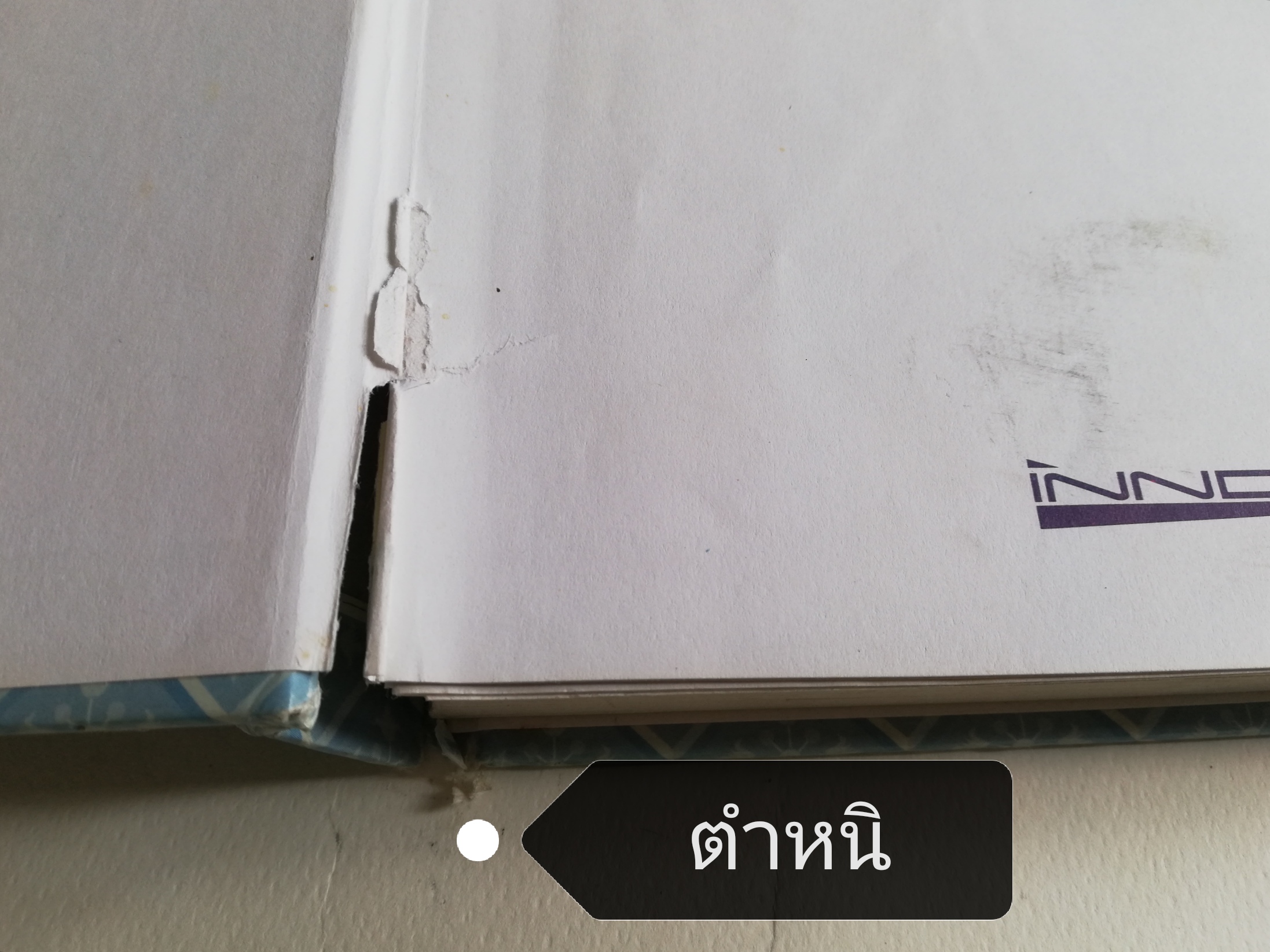 หนังสือนิทานดิสนีย์เก่า **มีตำหนิหลายจุดในบทแรกๆ ปกหลังหลุดจากสัน หนังสือเล่มใหญ่ ปกแข็ง ประกอบด้วย: สโนว์ไวท์กับคนแคระทั้งเจ็ด, โรบินฮู้ด, ซินเดอเรลล่า, ทาร์ซาน, ศักดิ์ศรีของซิมบ้า, มู่หลาน, เฮอร์คิวลิส, บั๊กไลฟ์