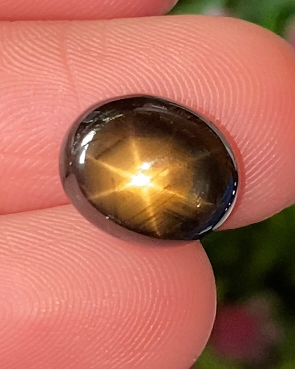 พลอย โกลเด้น สตาร์ แซฟไฟร์ Golden Star Sapphire 7.33 กะรัต (Cts.) ดิบ Unheated พร้อมใบเซอร์ พลอยแท้ อัญมณีมงคลประจําวันเกิด เครื่องประดับพลอย