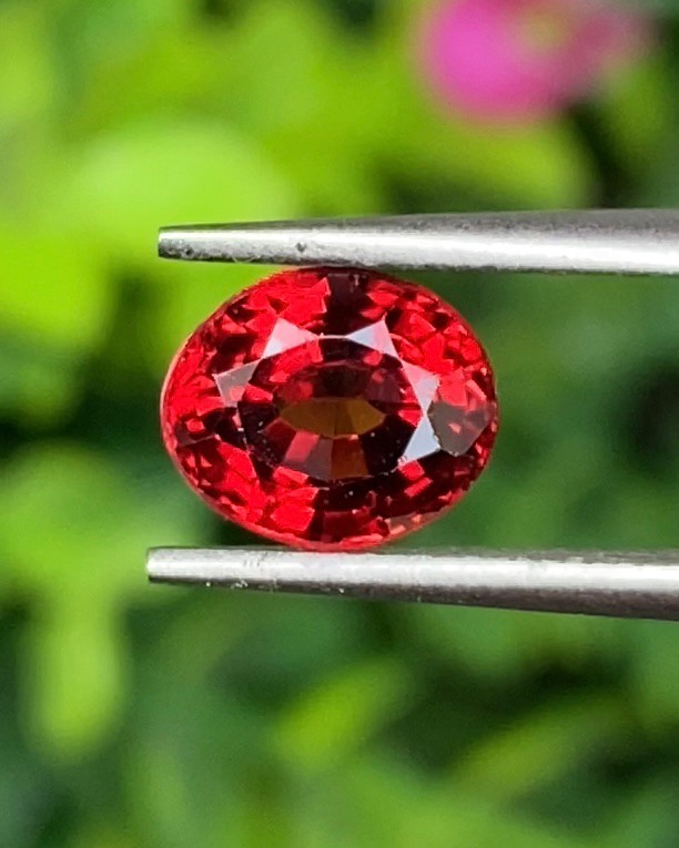 พลอย สเปสซาร์ไทต์ Spessartite Garnet 1.66 กะรัต Cts. พลอยแท้ อัญมณีมงคลประจําวันเกิด เครื่องประดับพลอย