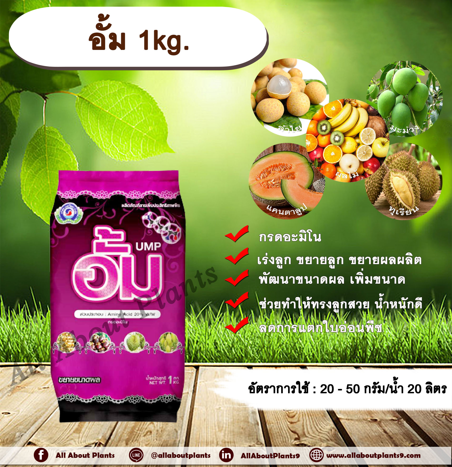 อั้ม 1kg. เร่งลูก ขยายลูก ขยายผลผลิต พัฒนาขนาดผล เพิ่มขนาด ลูกโต ผลโต ทรงลูกสวย น้ำหนักดี ได้น้ำหนัก อั๊พไซส์ allaboutplants ชิ้น