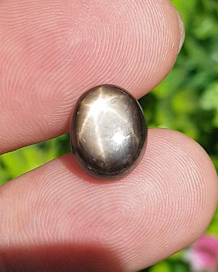 พลอย แบล็ค สตาร์ แซฟไฟร์ Black Star Sapphire 8.56 กะรัต (Cts.) ดิบ Unheated พลอยแท้ อัญมณีมงคลประจําวันเกิด เครื่องประดับพลอย