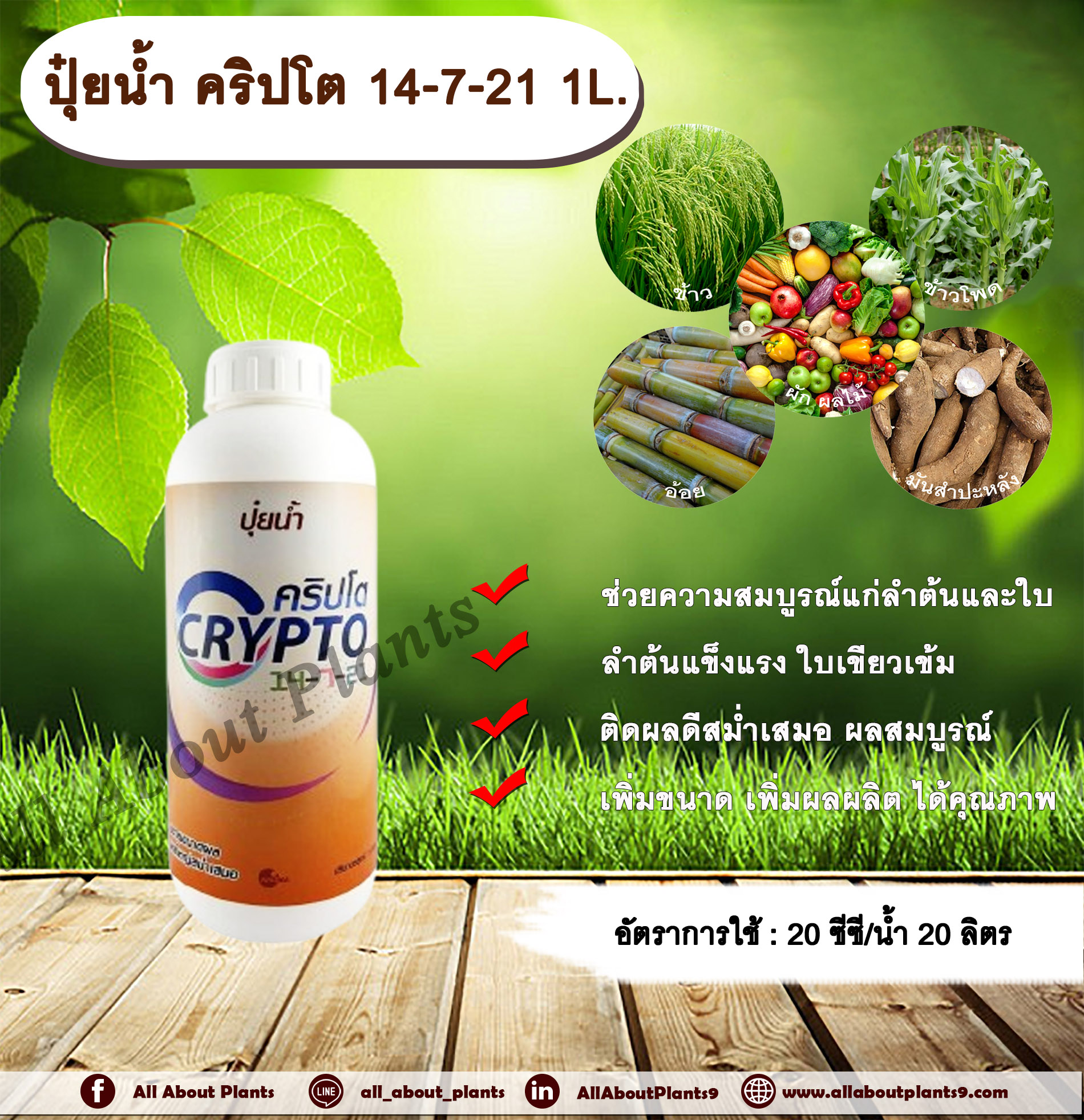 คริปโต 14-7-21 1L. เร่งต้น เร่งใบ บำรุงต้น บำรุงใบ ต้นแข็งแรง ใบเขียวเข้ม ติดผลดี ผลสมบูรณ์ เพิ่มขนาด เพิ่มผลผลิต ได้คุณภาพ เพิ่มรสชาติ ปุ๋ยน้ำ ปุ๋ยNPK ปุ๋ยน้ำNPK allaboutplants ชิ้น