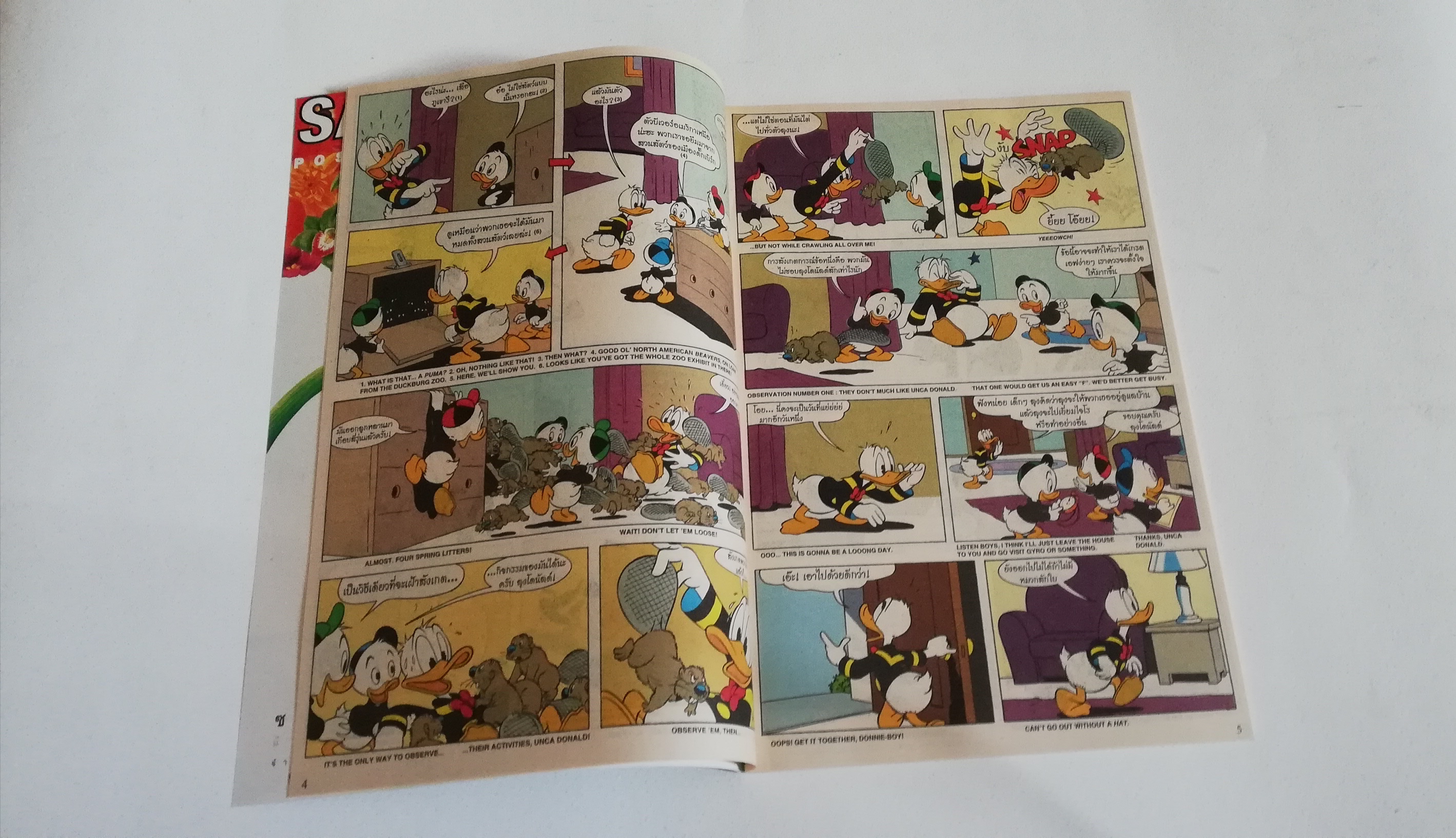 หนังสือการ์ตูน2ภาษาจากดิสนีย์ เนชั่นคอมิคส์, มิกกี้และสหาย ฉบับที่167 ตอน ชุดสวยของเดซี่